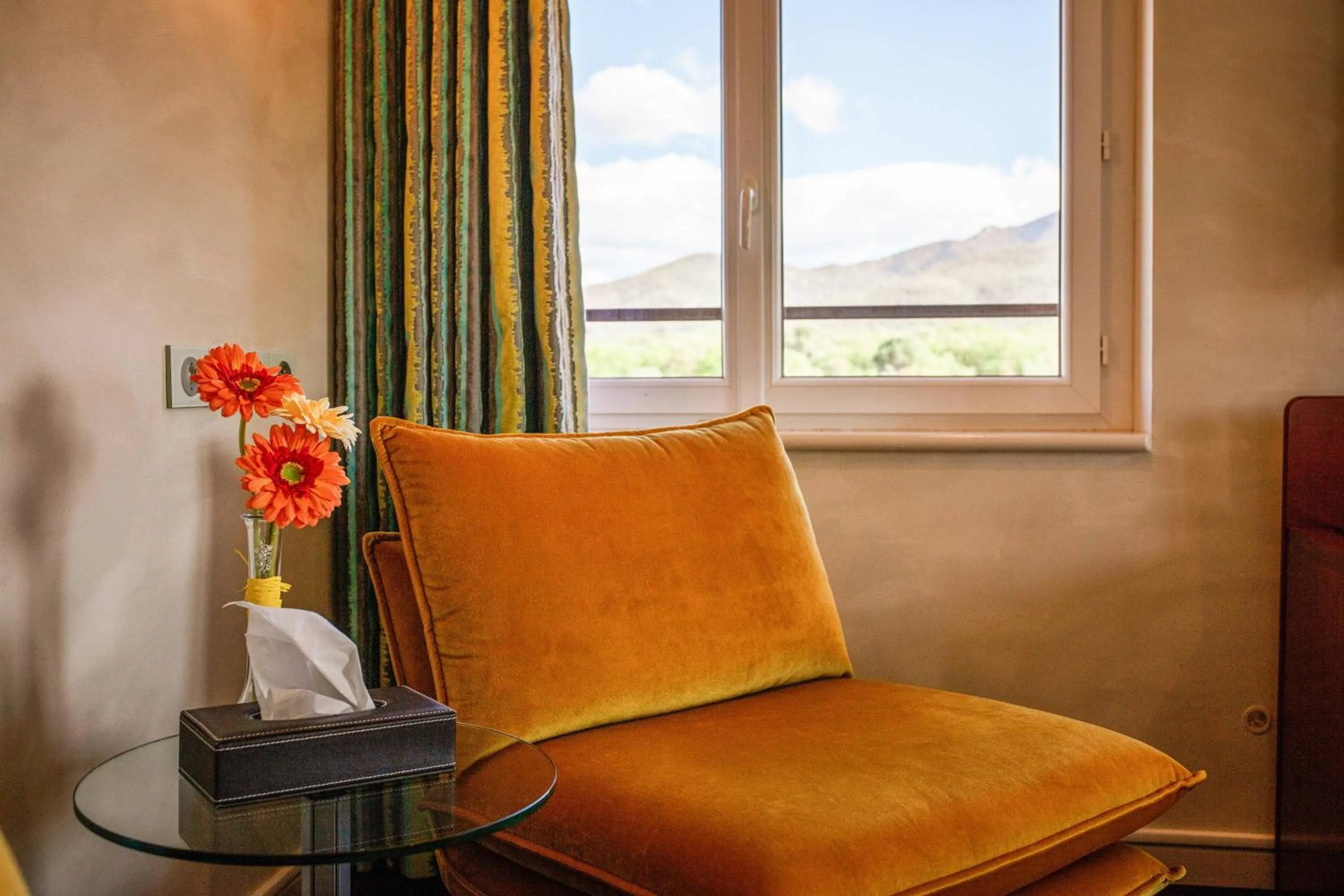 View (from property/room) in Auberge Du Roua