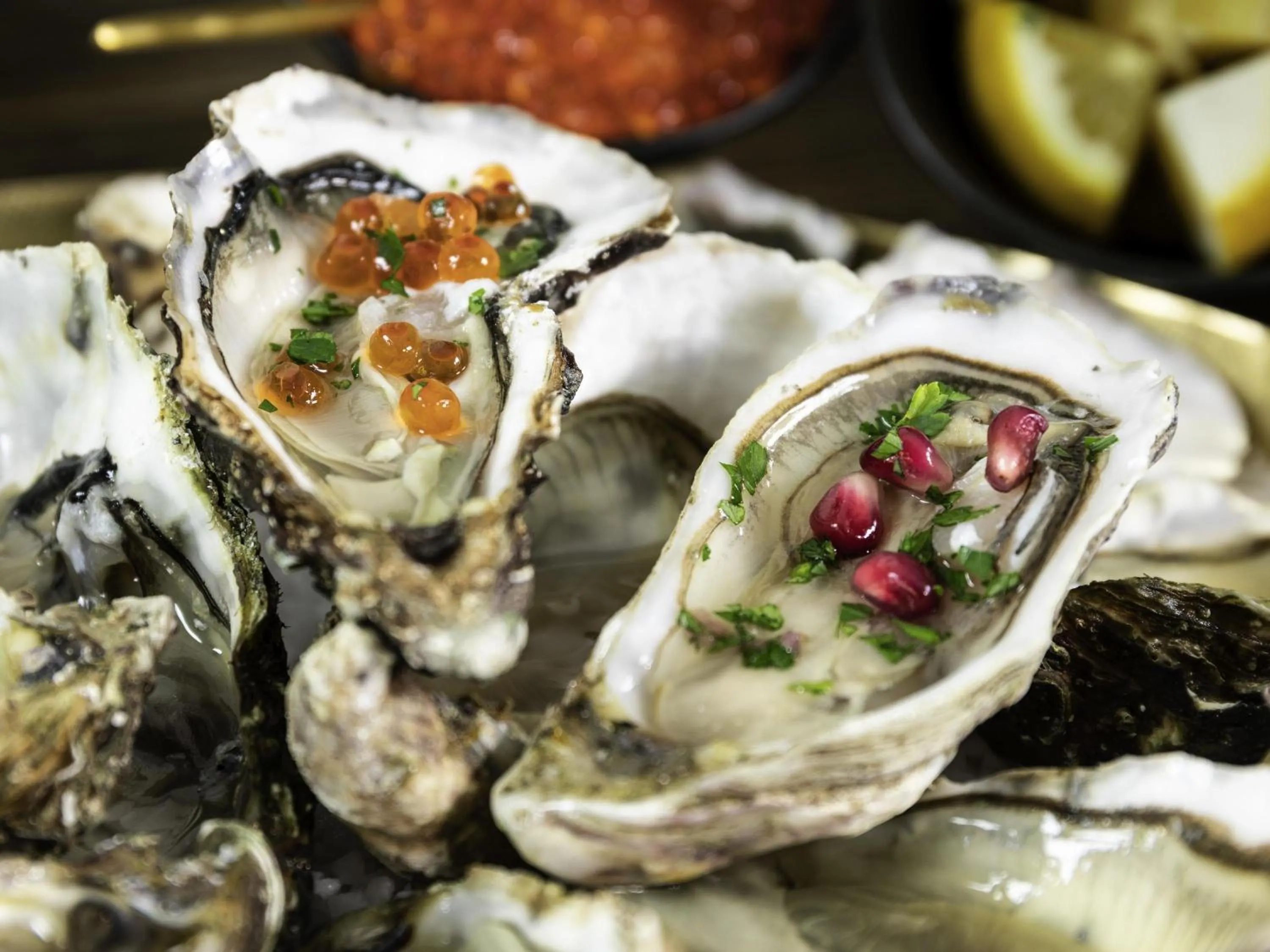 Restaurant/places to eat in ibis Styles Marennes d'Oléron