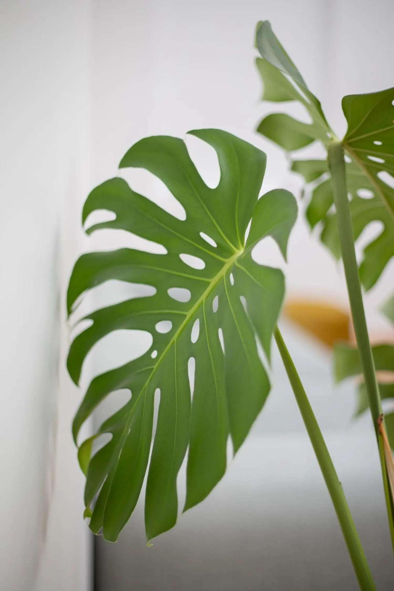 Property building in Hôtel Porte Mars Reims Gare Centre Arena