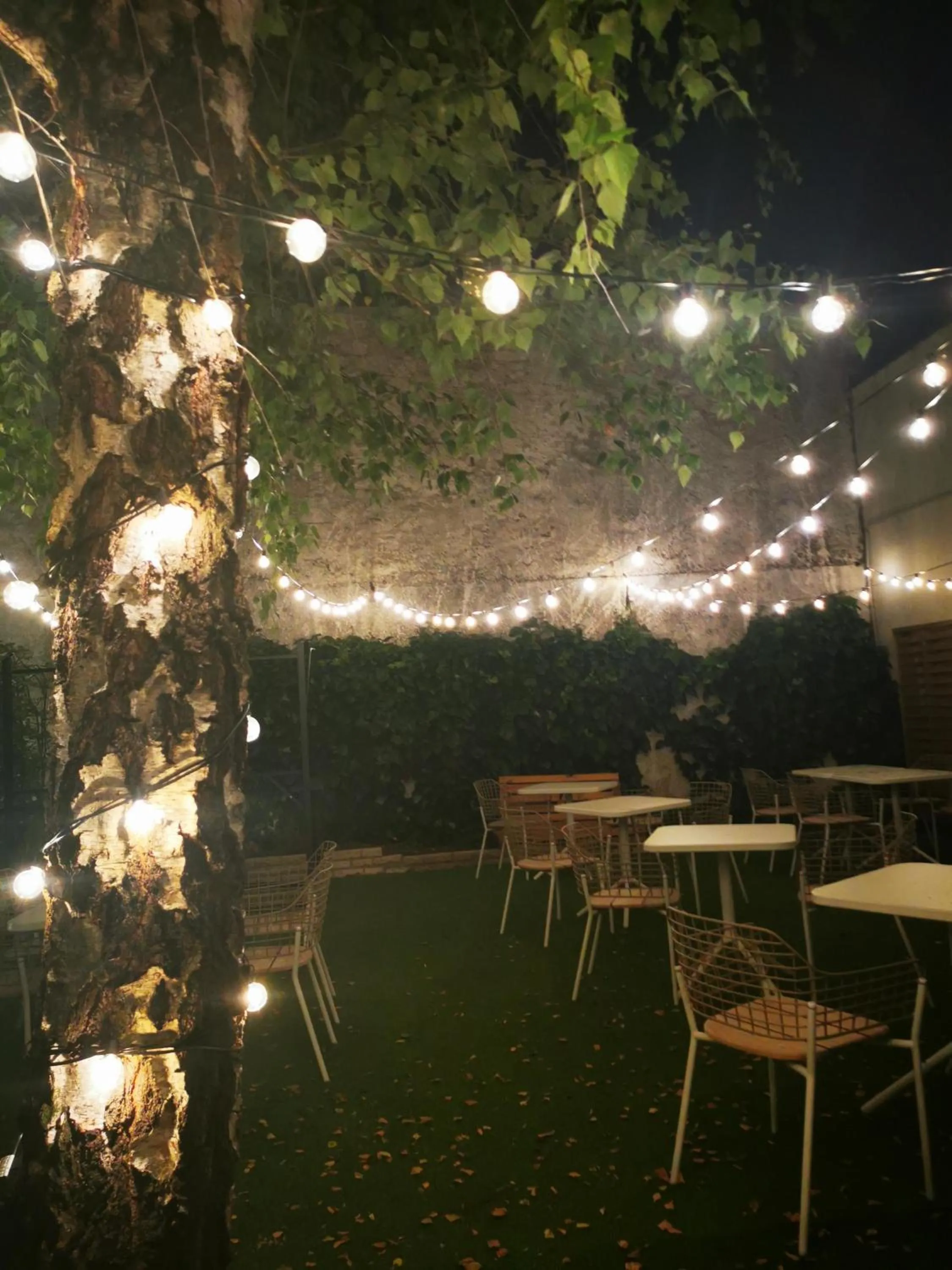 Restaurant/places to eat in Novotel Blois Centre Val De Loire