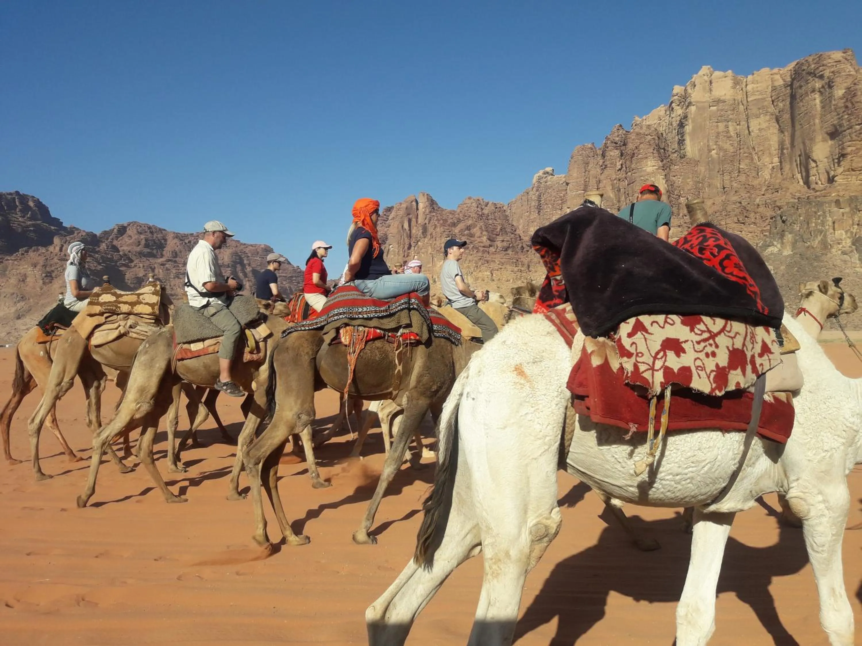 Activities in WadiRum Mobile Camp