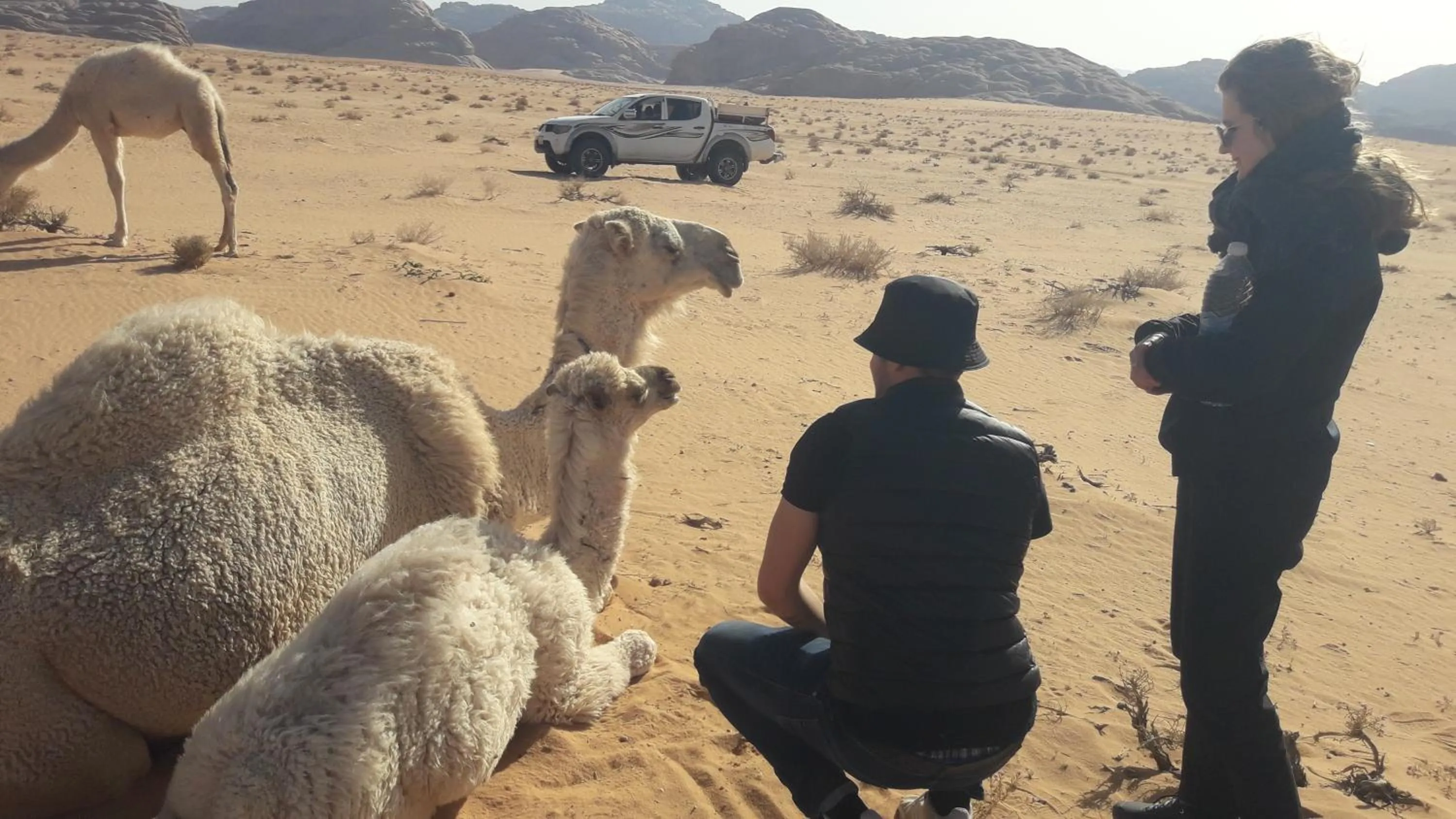 Neighbourhood in WadiRum Mobile Camp