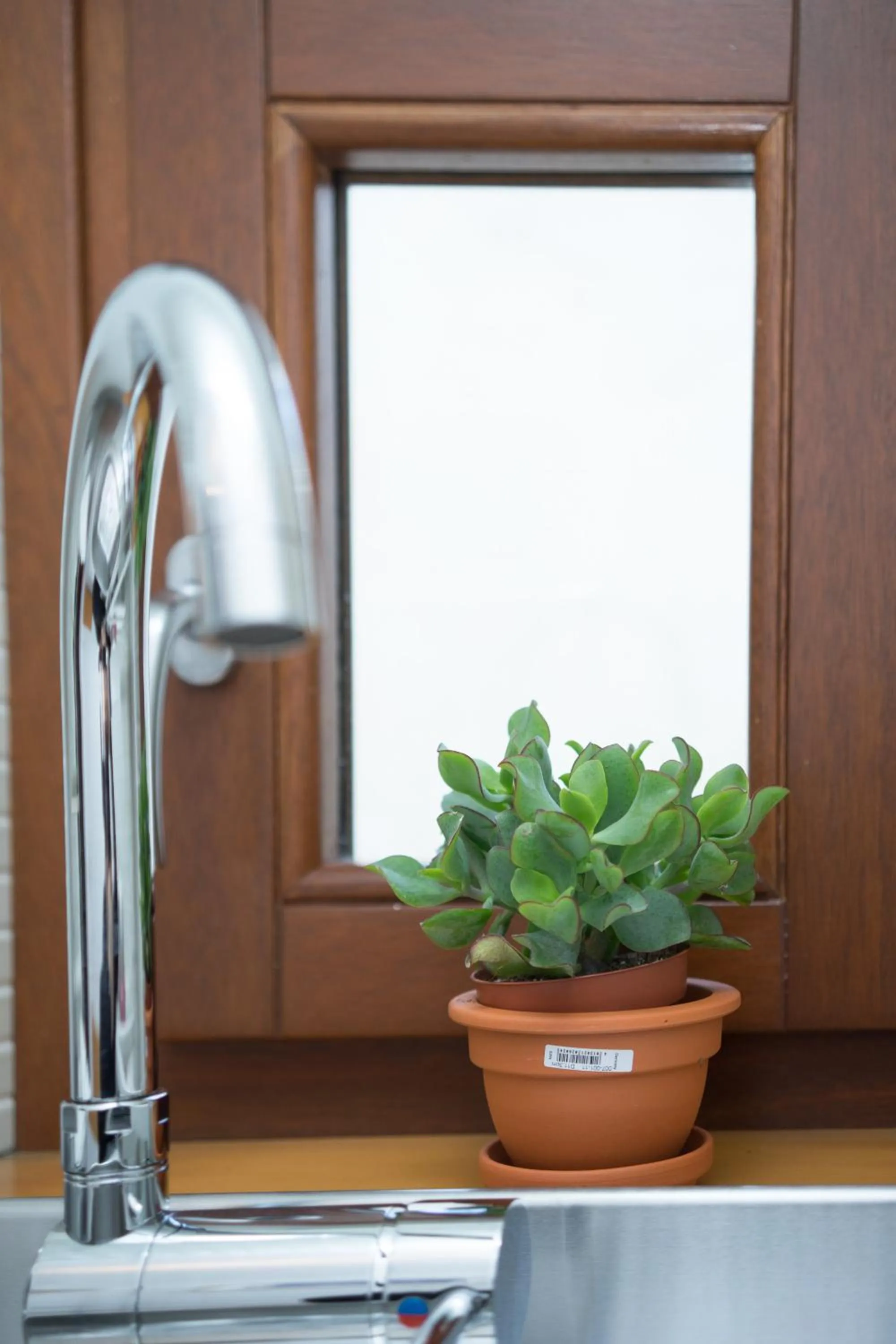 Decorative detail in Casa Gnostra