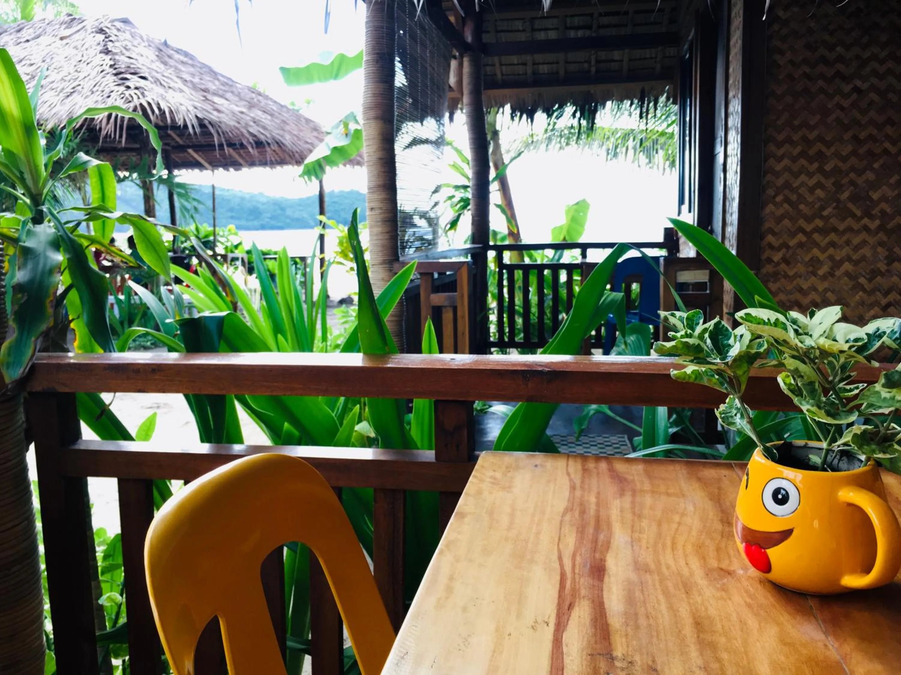 Zhaya's Beach & Cottages