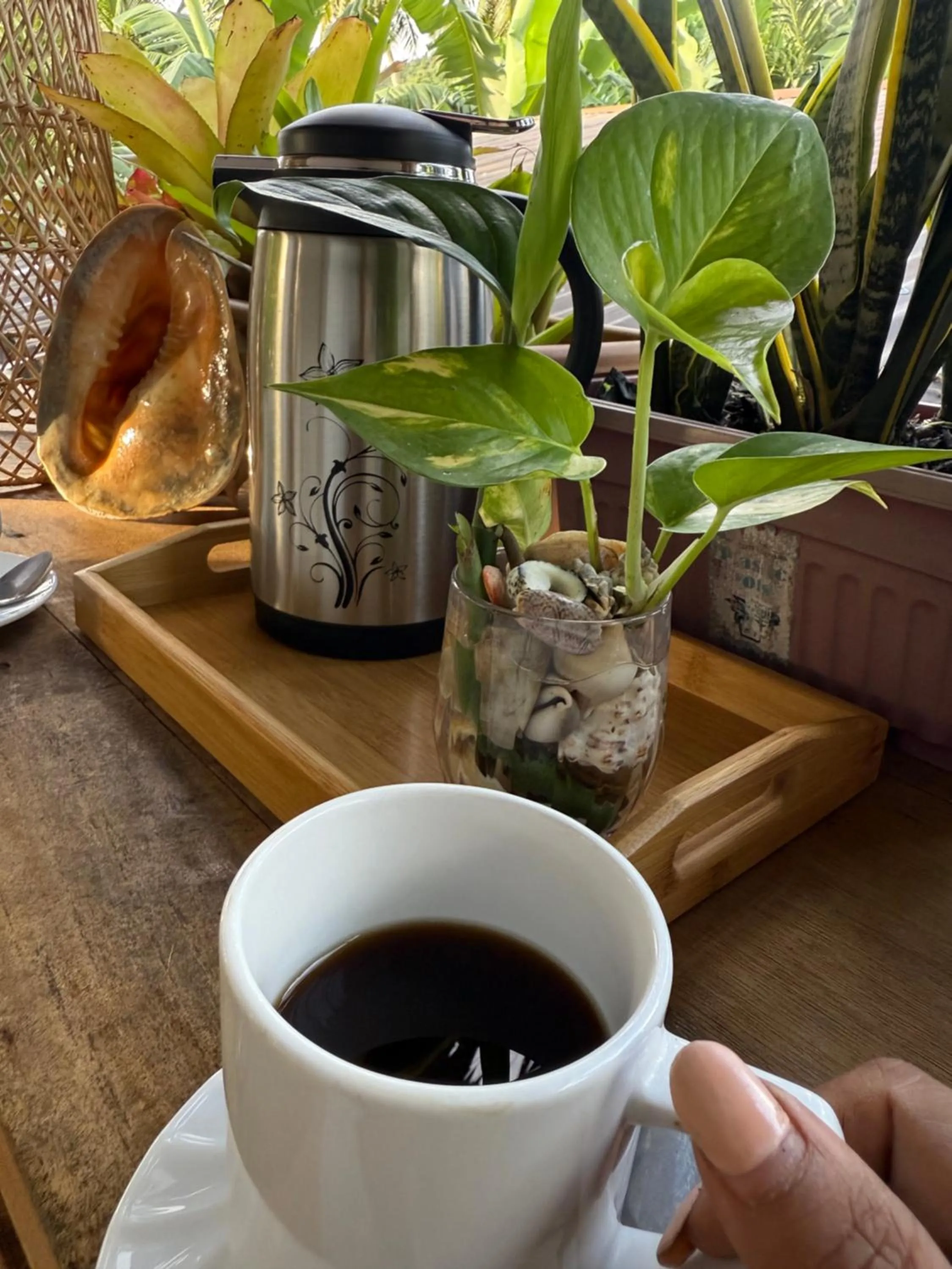 Zhaya's Beach & Cottages