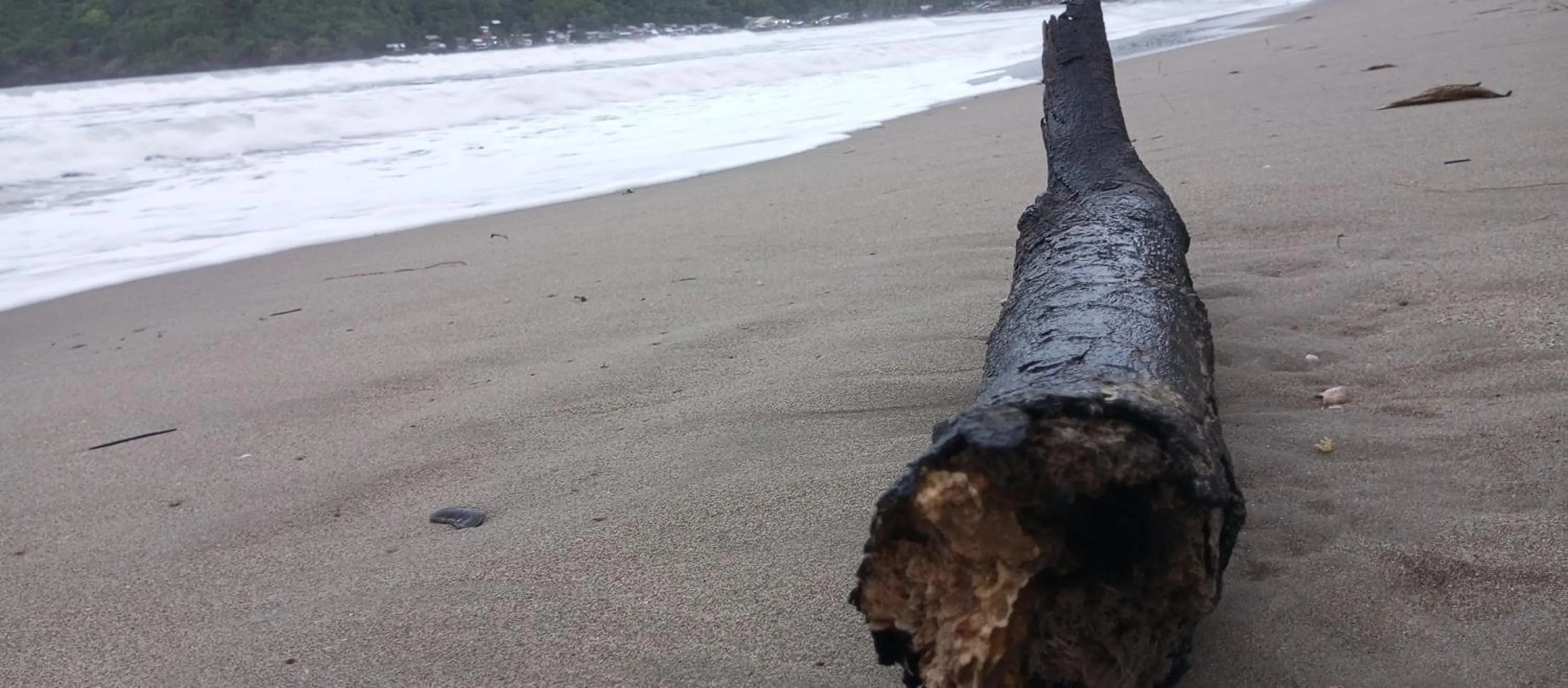 Zhaya's Beach & Cottages