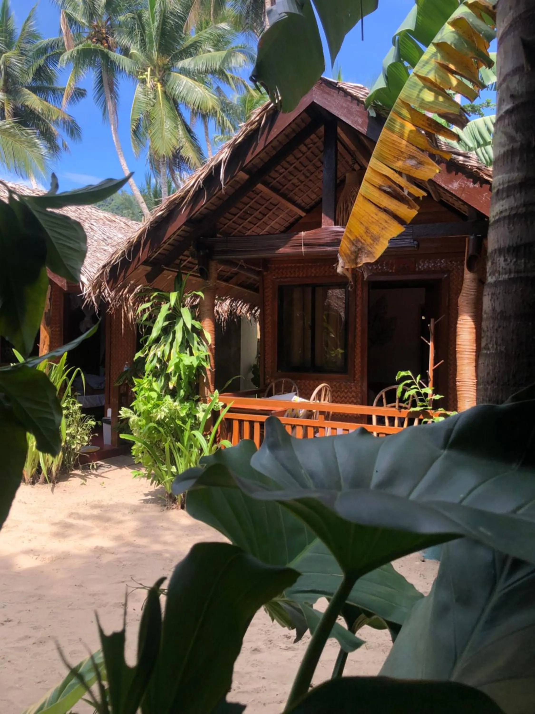 Zhaya's Beach & Cottages