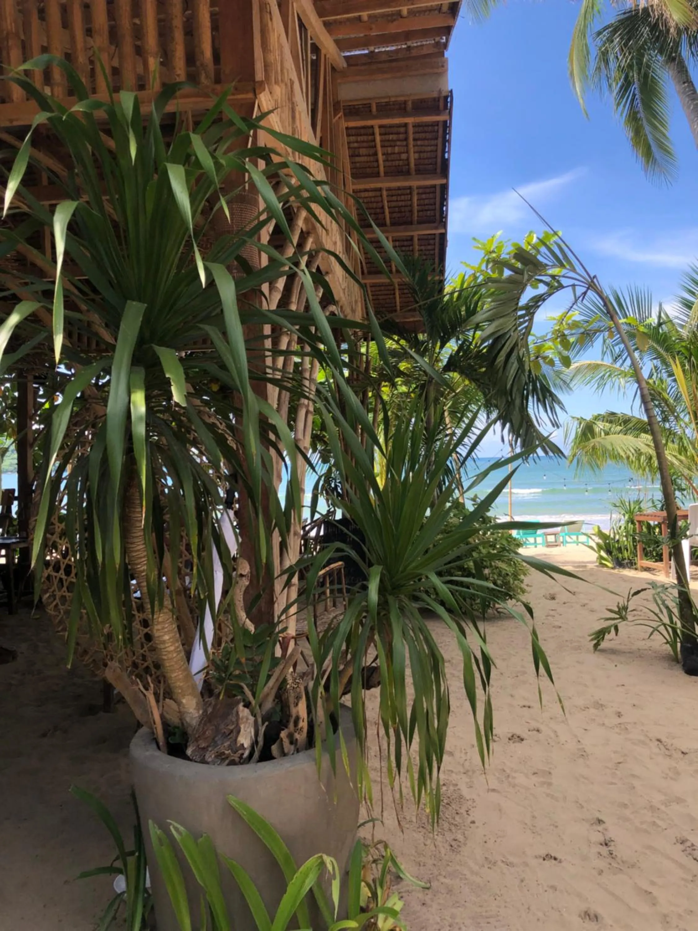 Zhaya's Beach & Cottages