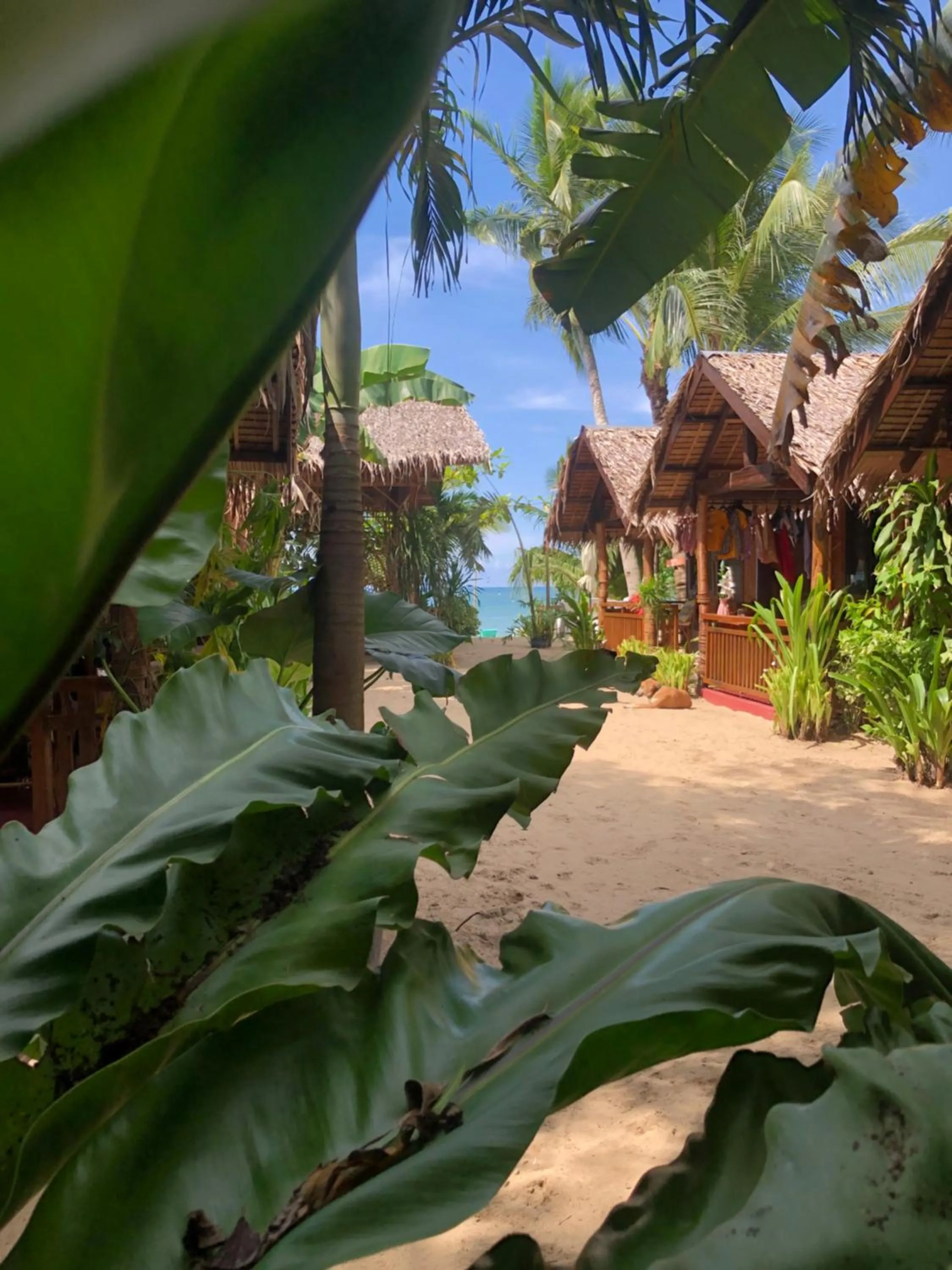 Zhaya's Beach & Cottages