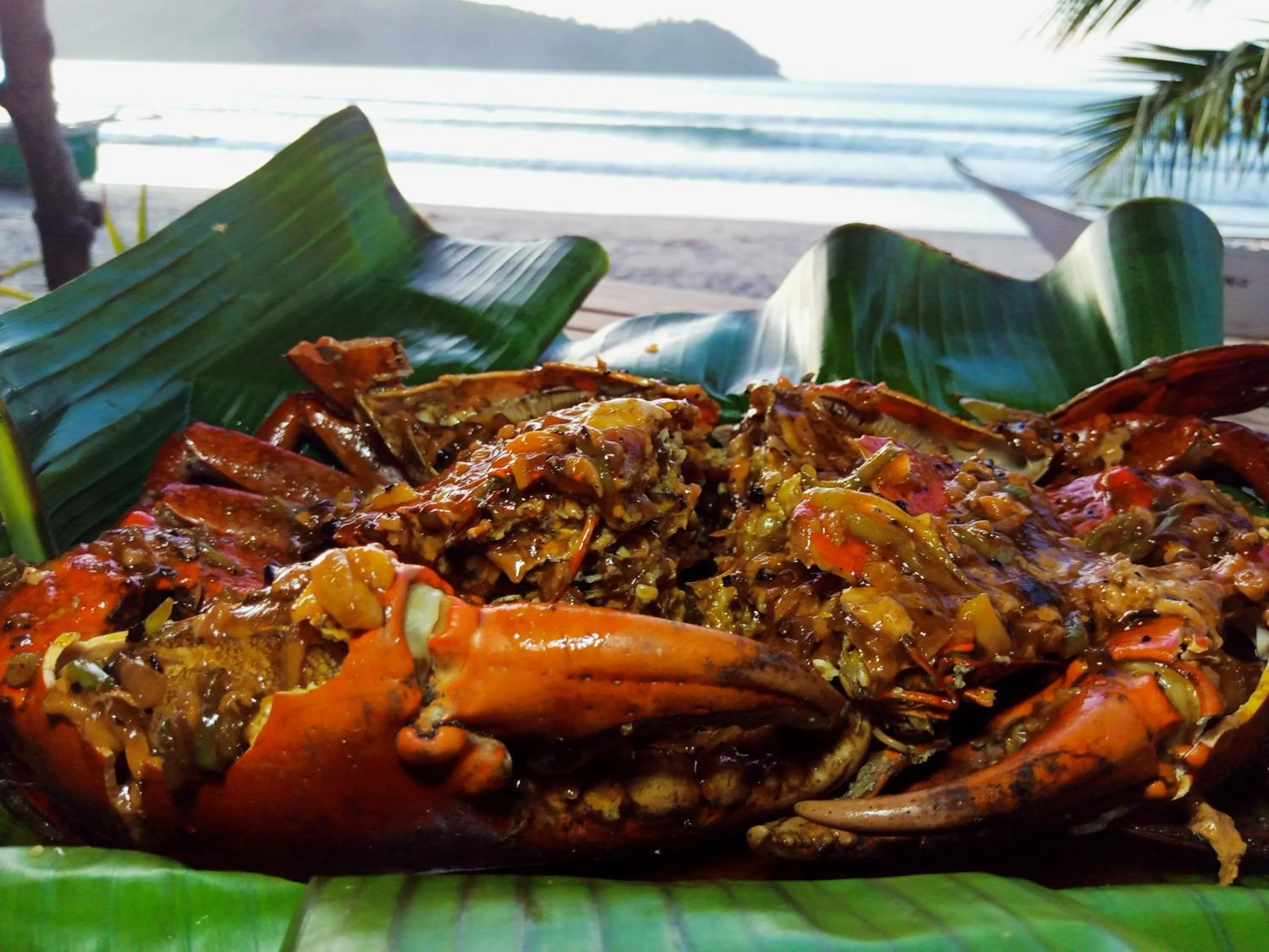 Zhaya's Beach & Cottages