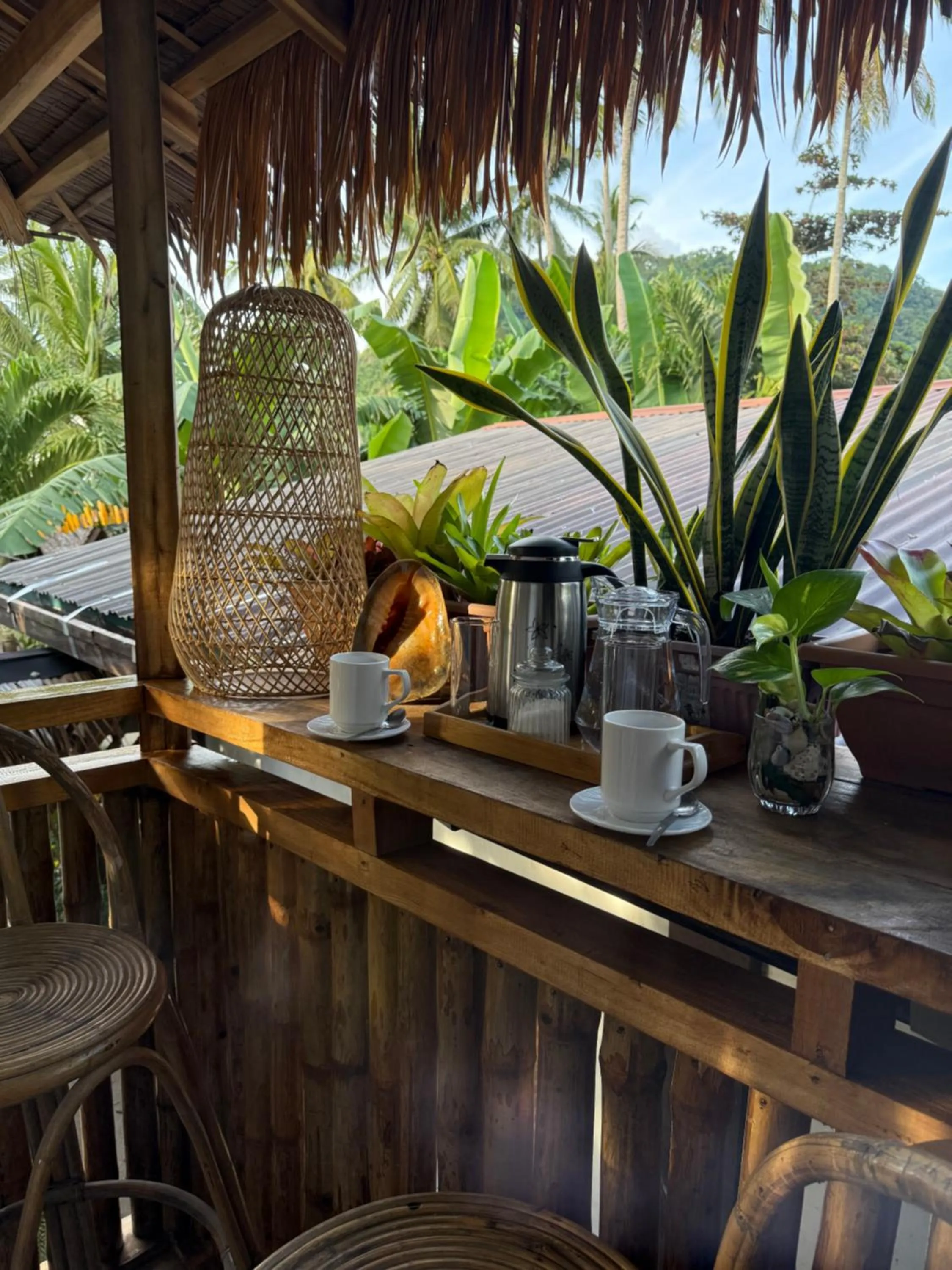 Zhaya's Beach & Cottages