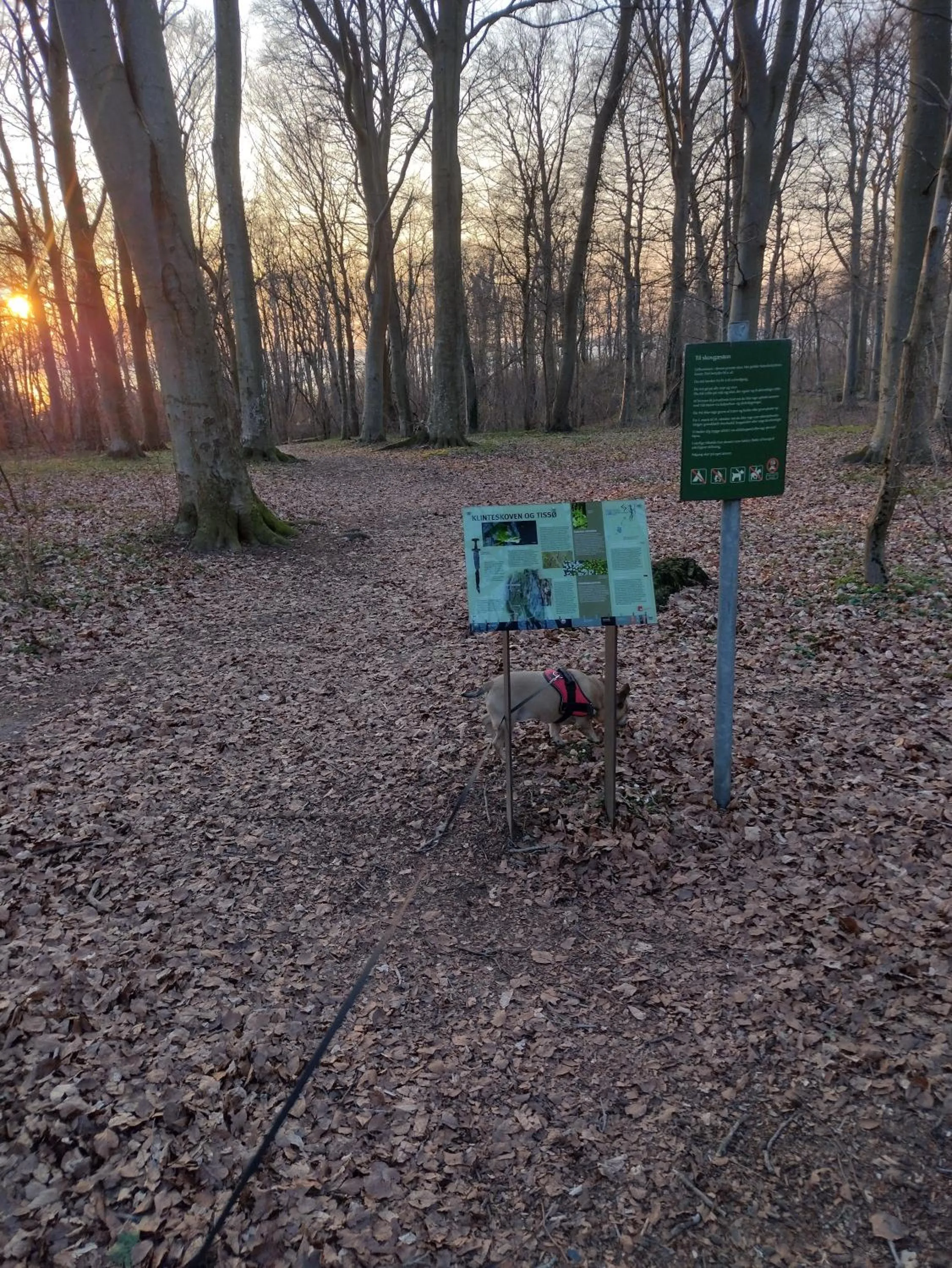 Den Gamle Apotekergaard