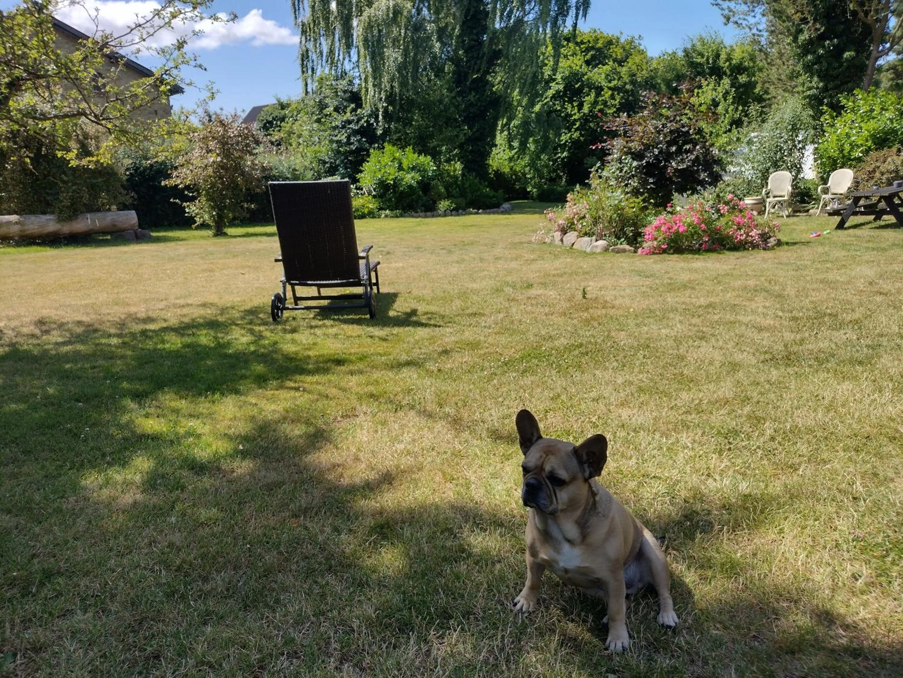 Garden in Den Gamle Apotekergaard