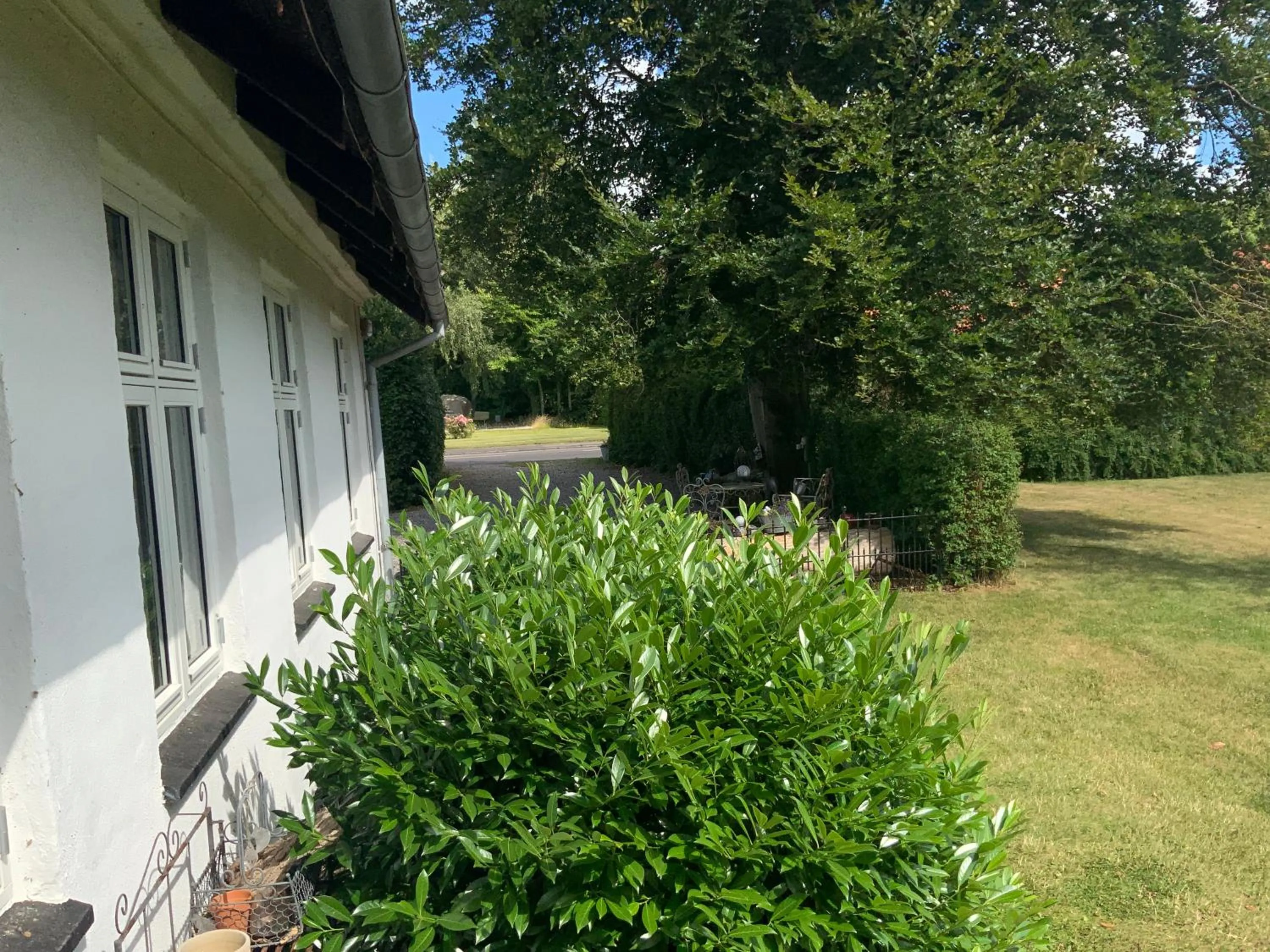 Garden in Den Gamle Apotekergaard