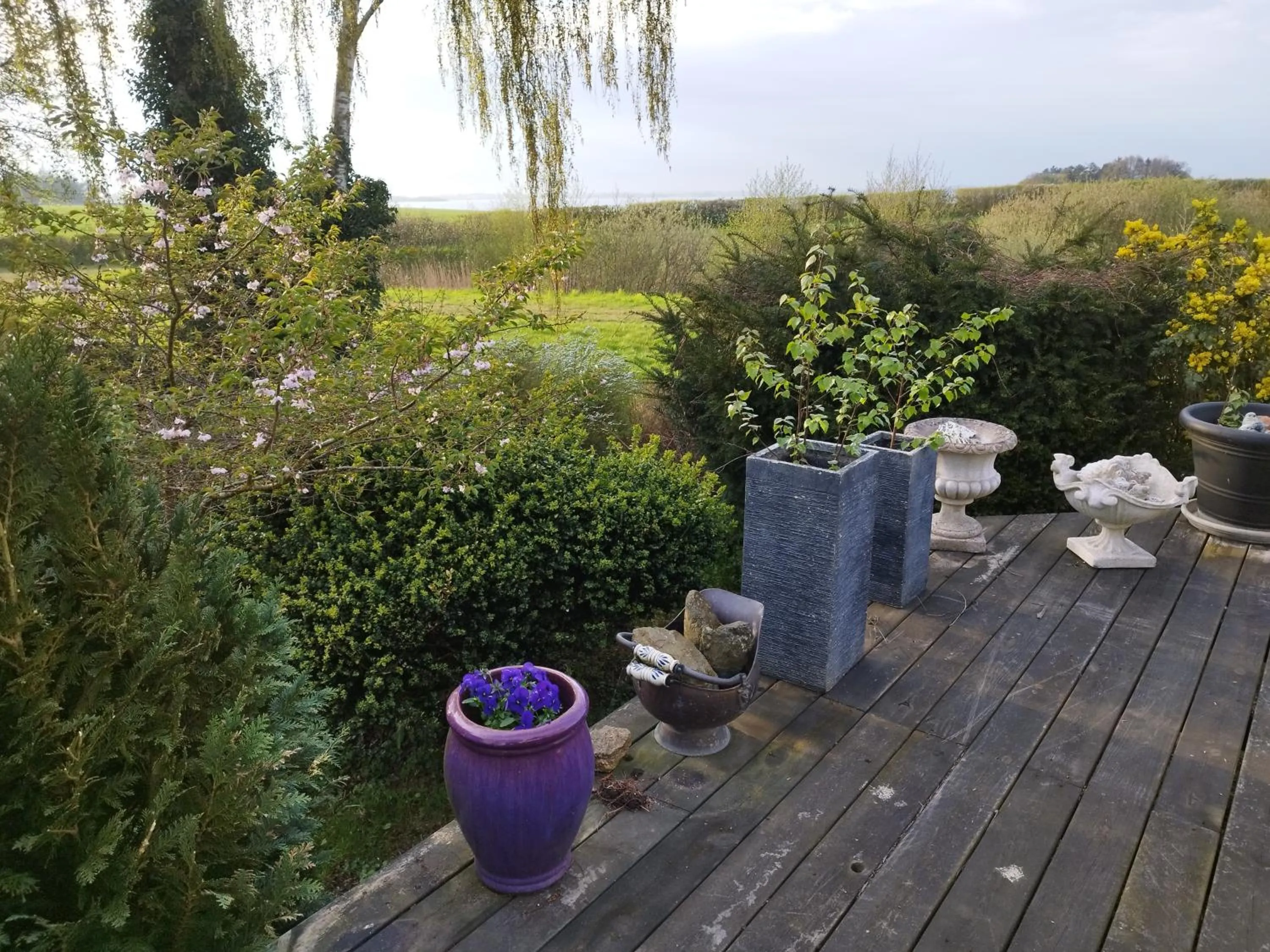 Balcony/Terrace in Den Gamle Apotekergaard