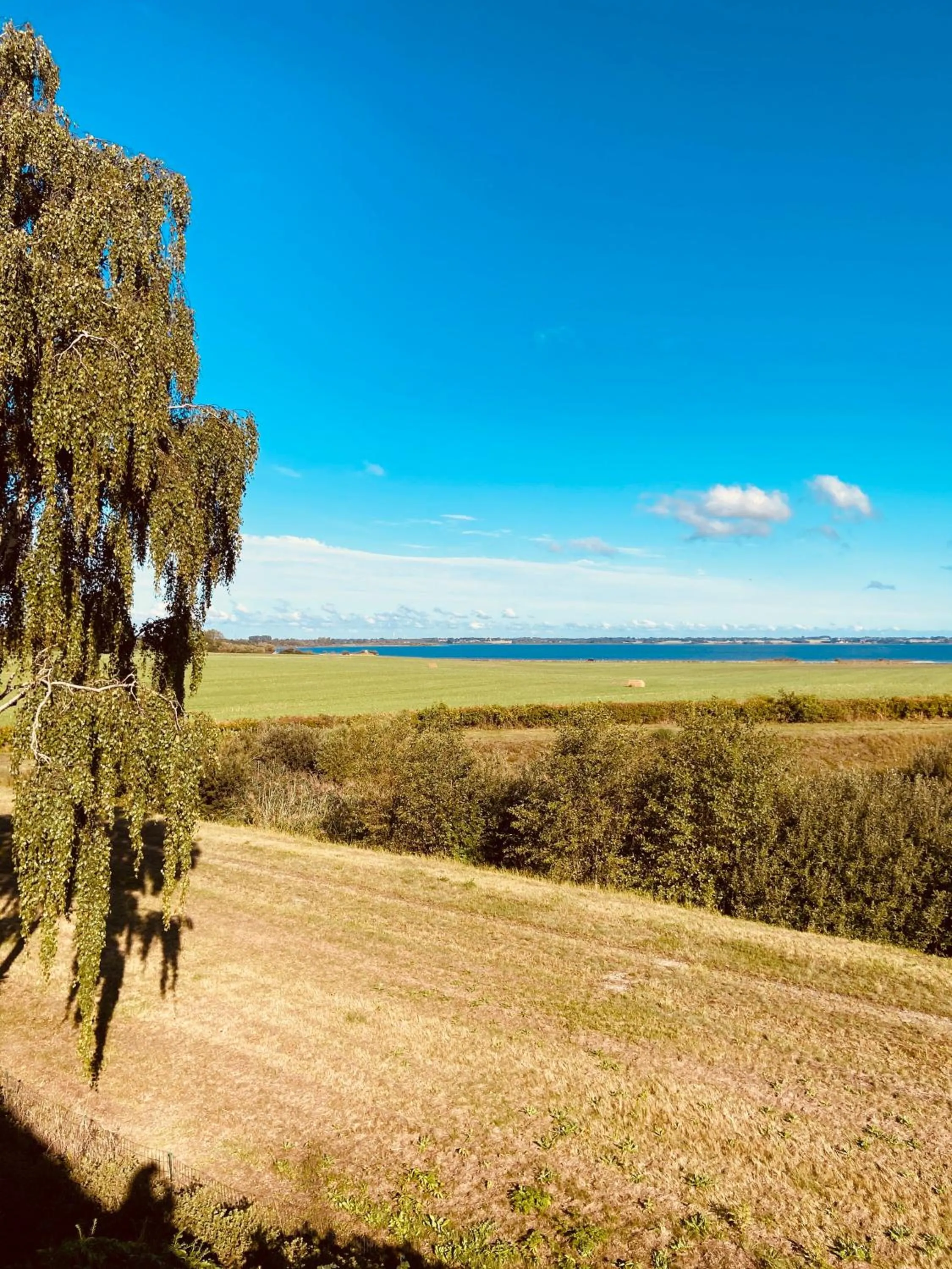 Natural landscape in Den Gamle Apotekergaard
