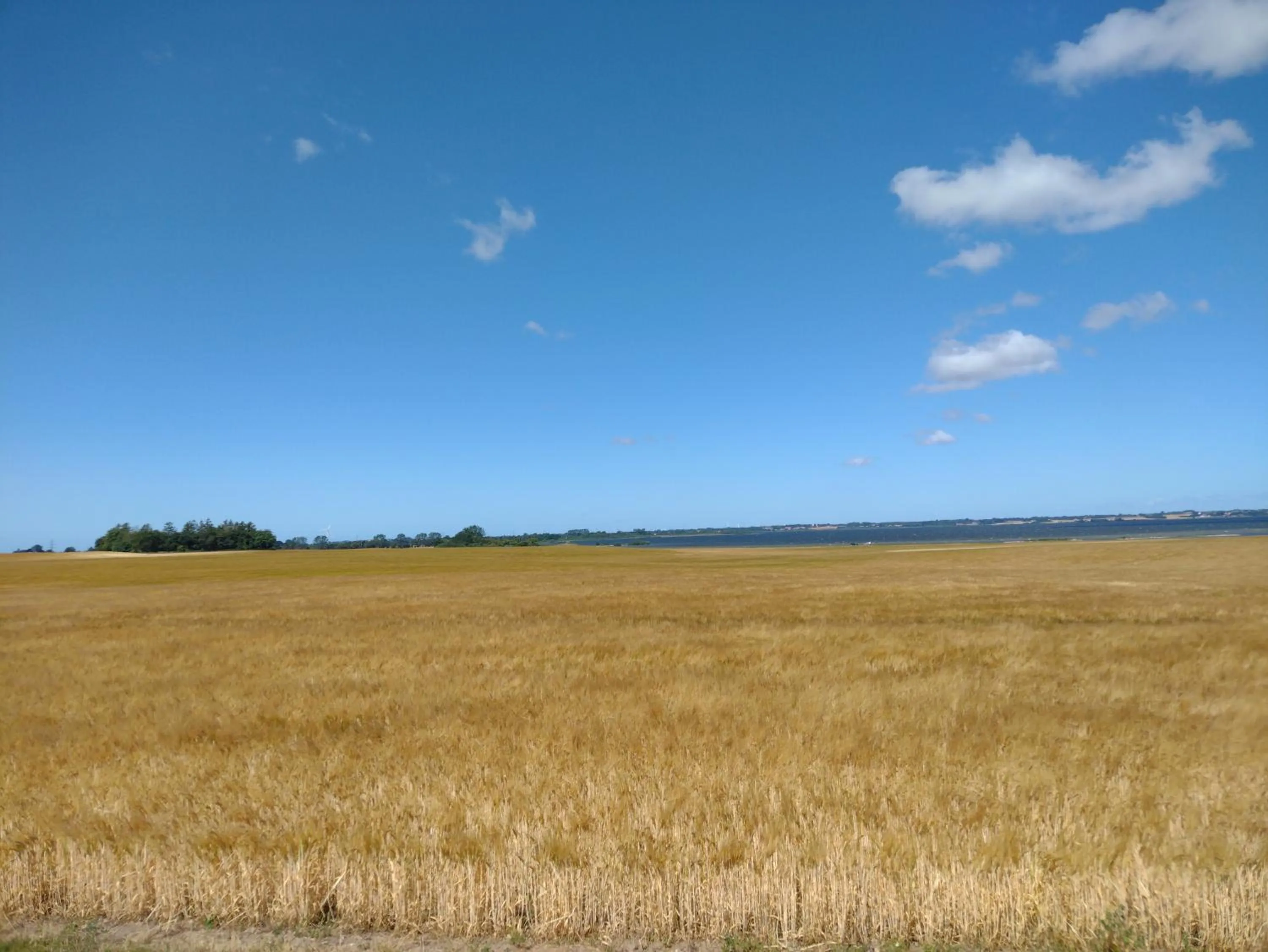 Balcony/Terrace in Den Gamle Apotekergaard