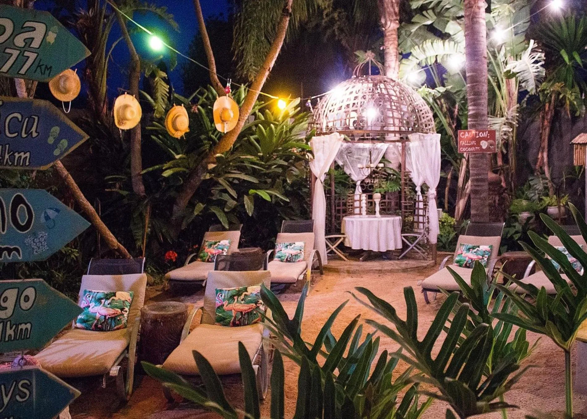 Night in Club Cocomo