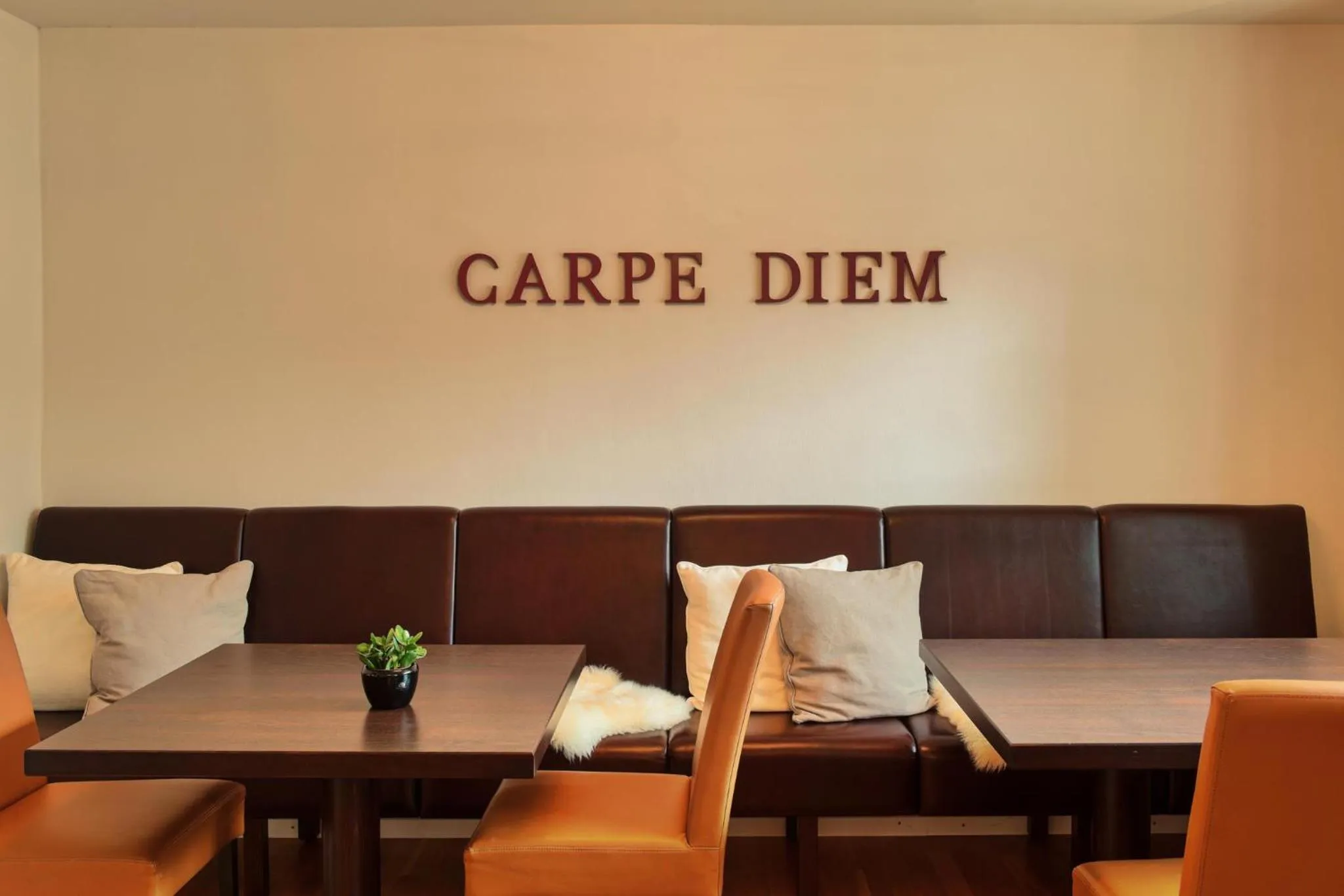 Food and drinks in Weingut & Gästehaus Christoph Clüsserath