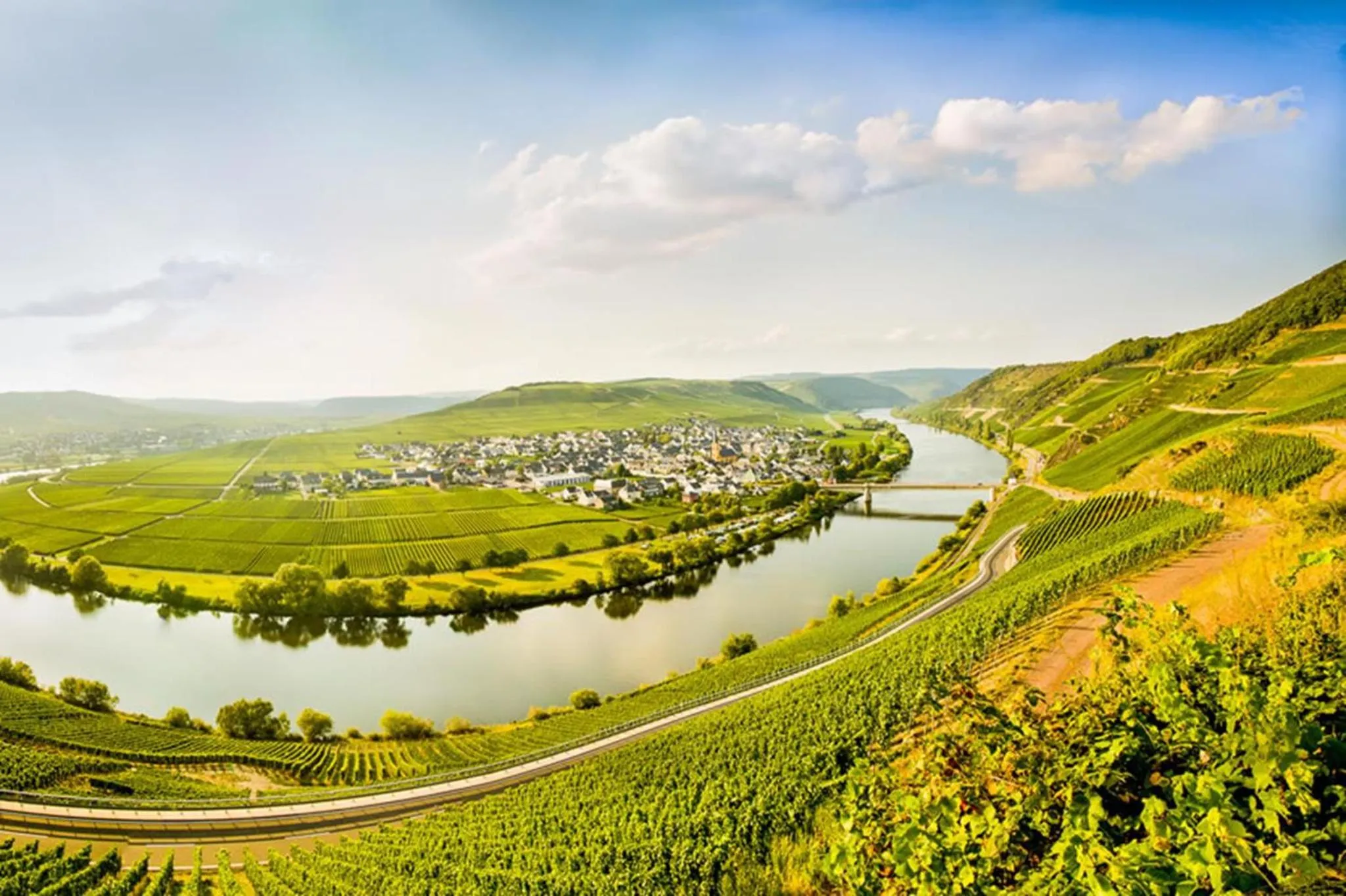 Neighbourhood in Weingut & Gästehaus Christoph Clüsserath