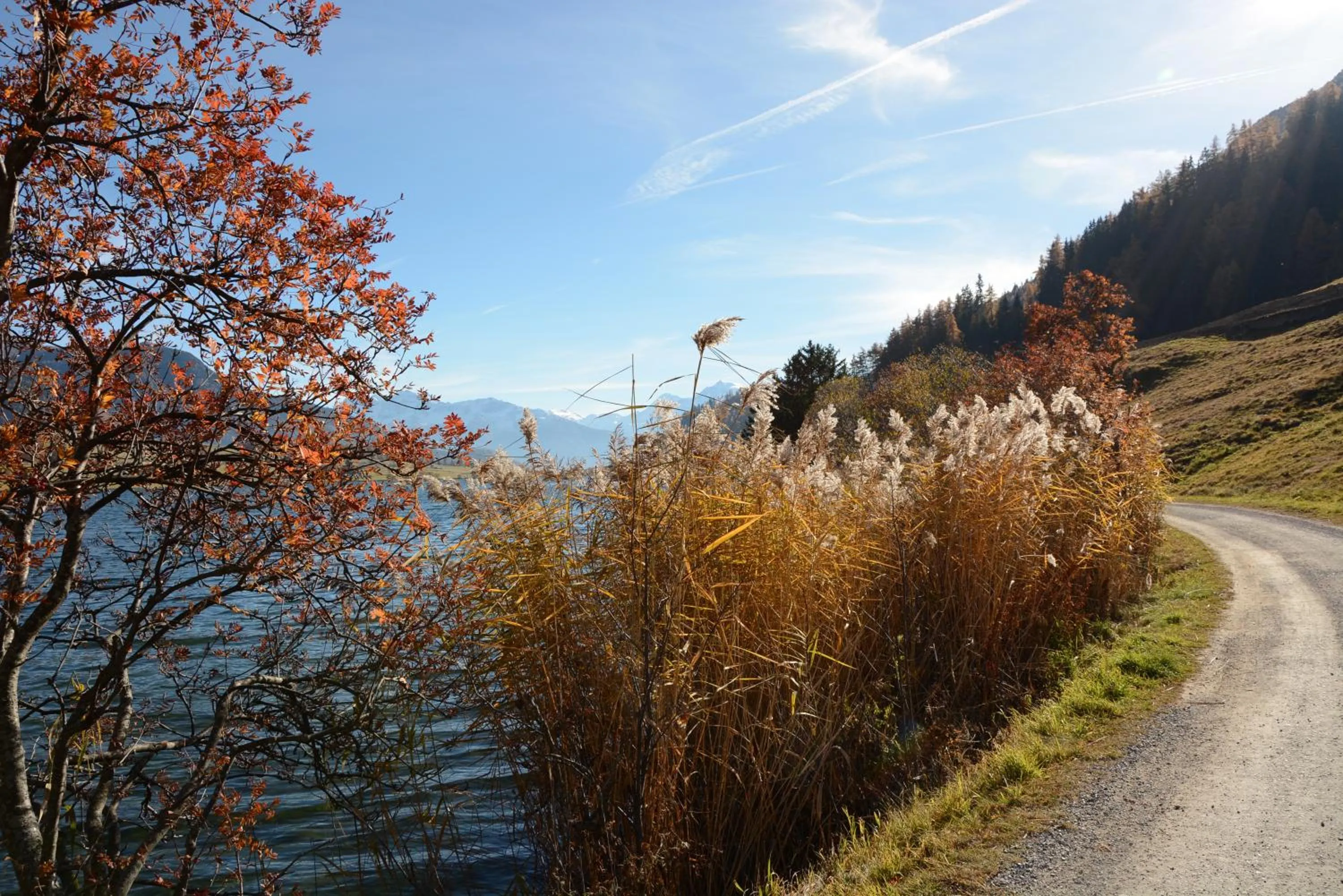 Natural landscape in Garni Apparthotel St Valentin