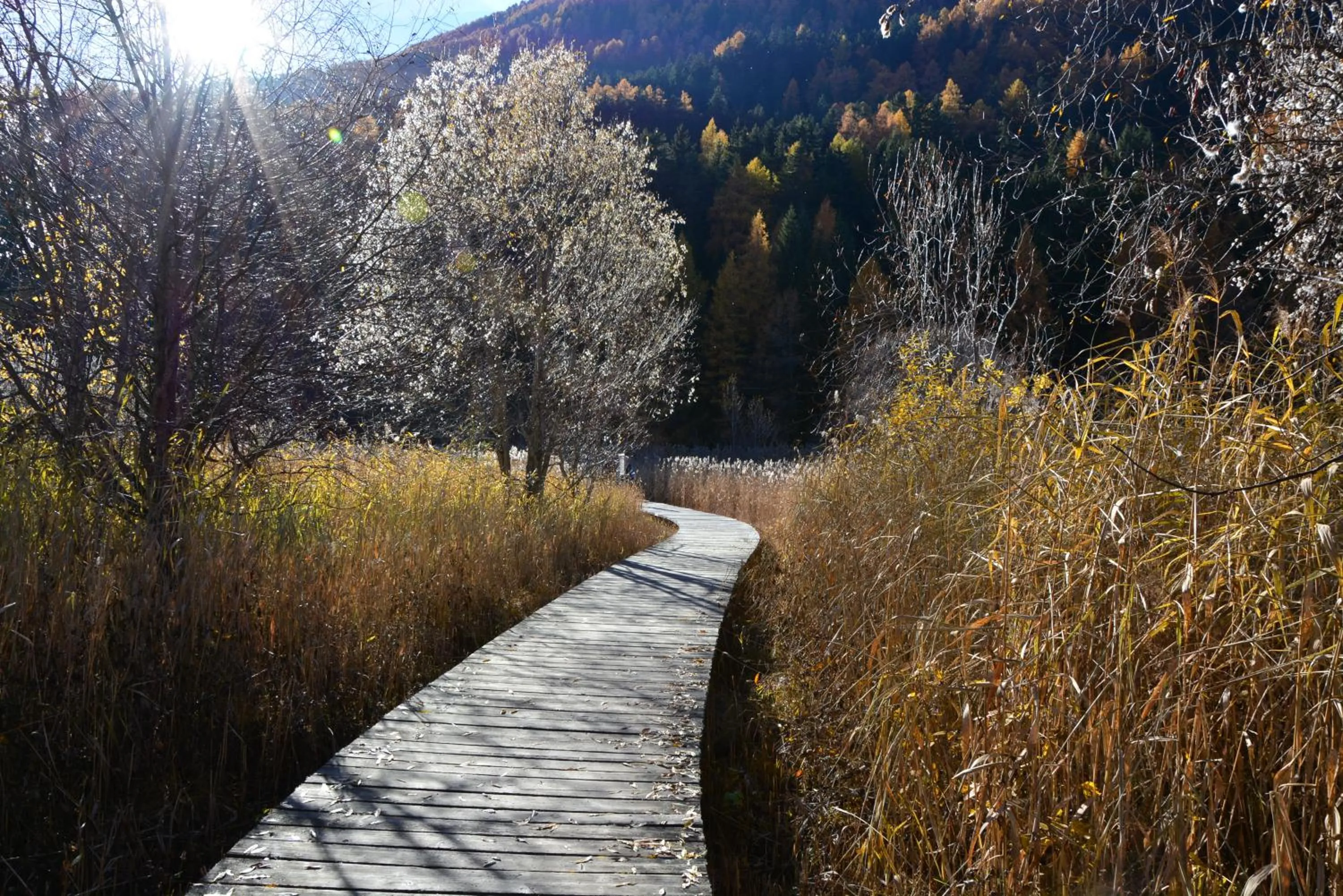 Natural landscape in Garni Apparthotel St Valentin