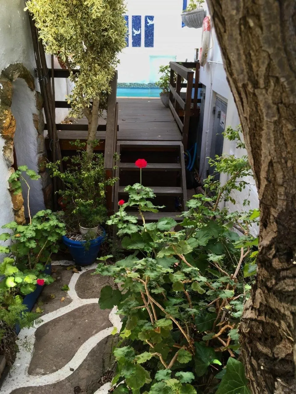 Patio in Athenian Villa