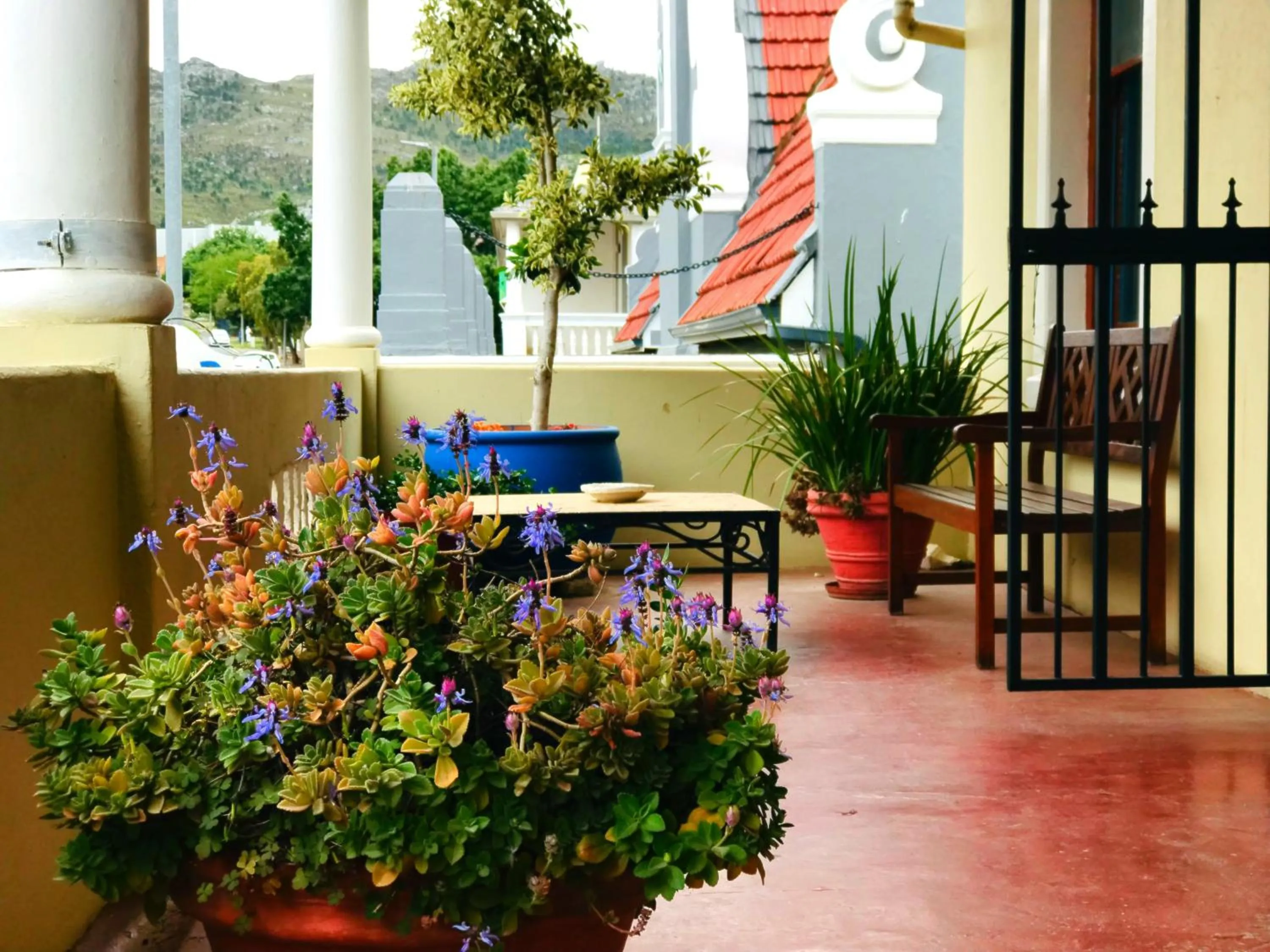 Balcony/Terrace in Athenian Villa
