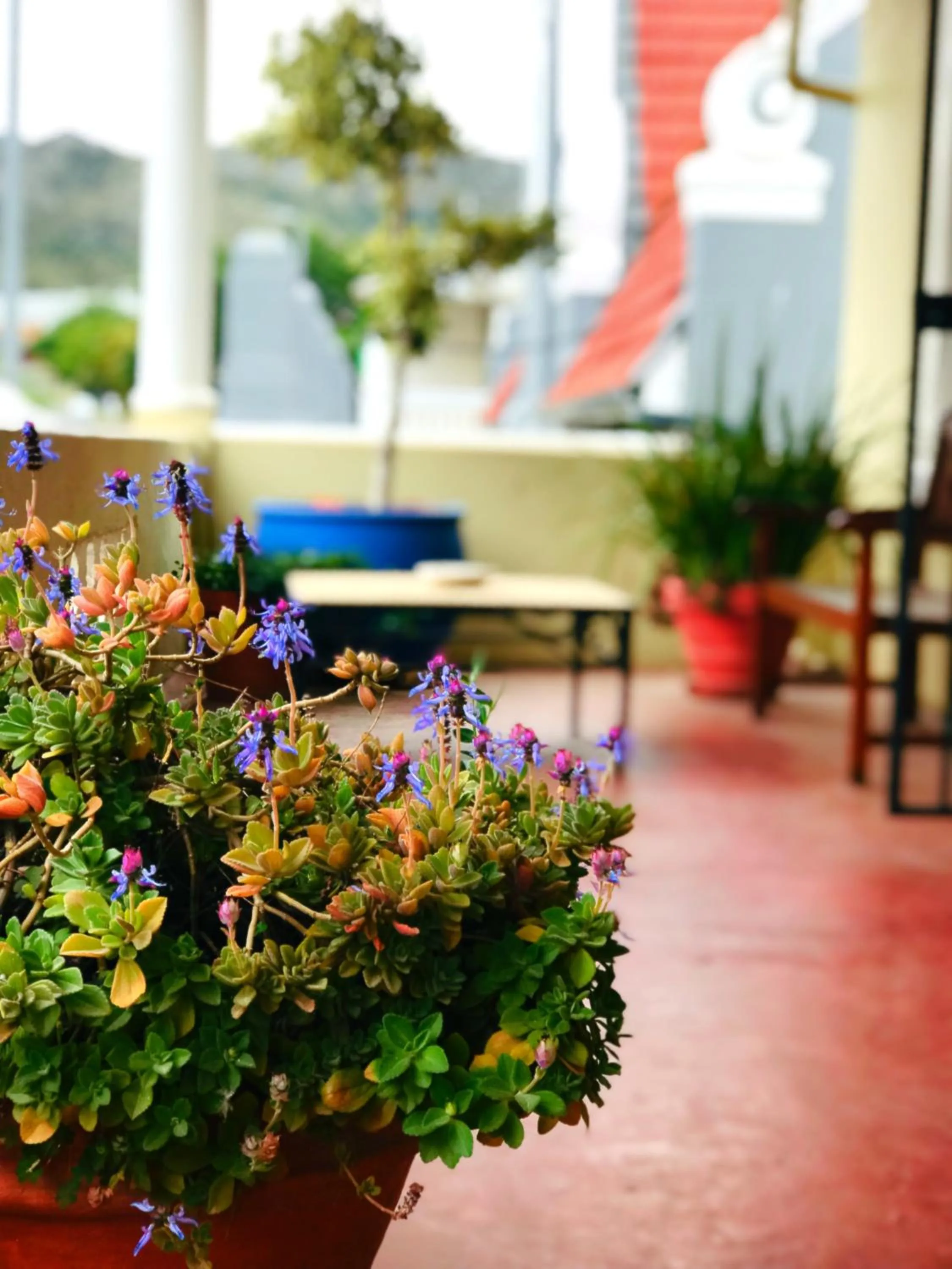 Balcony/Terrace in Athenian Villa