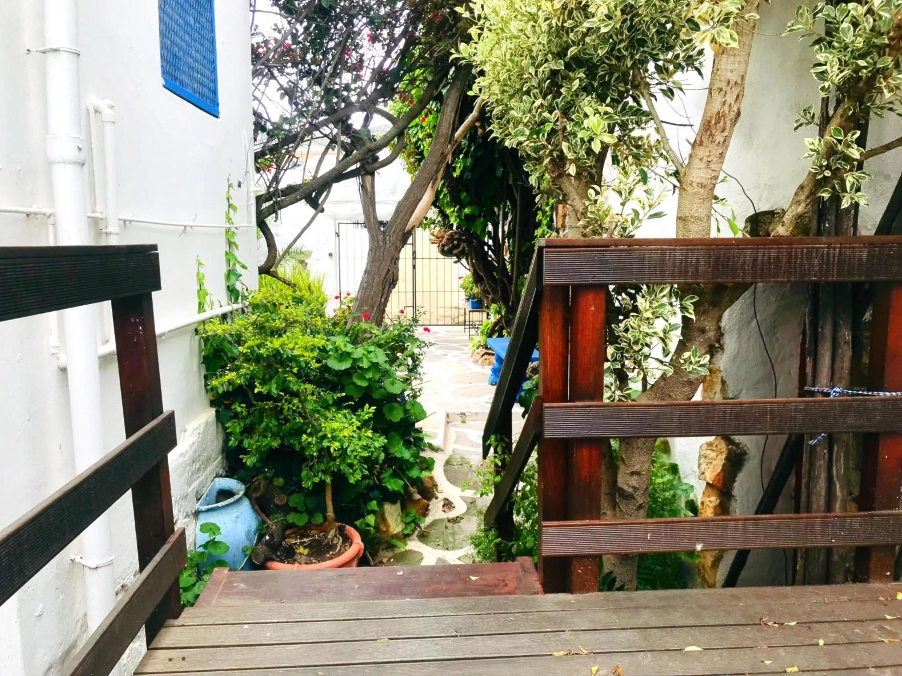Garden in Athenian Villa