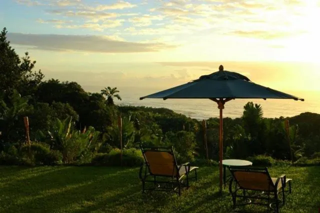 Garden in Albatross Guesthouse