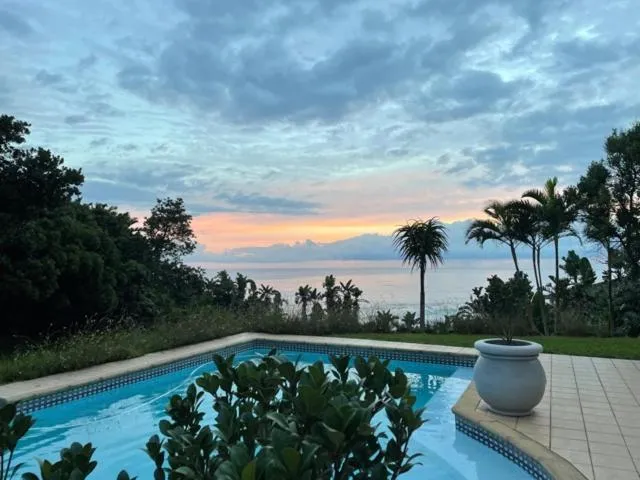 Pool view in Albatross Guesthouse