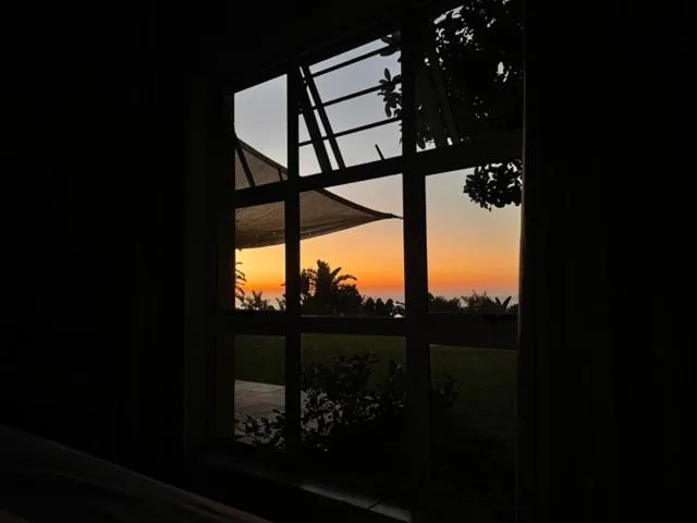 Garden view in Albatross Guesthouse