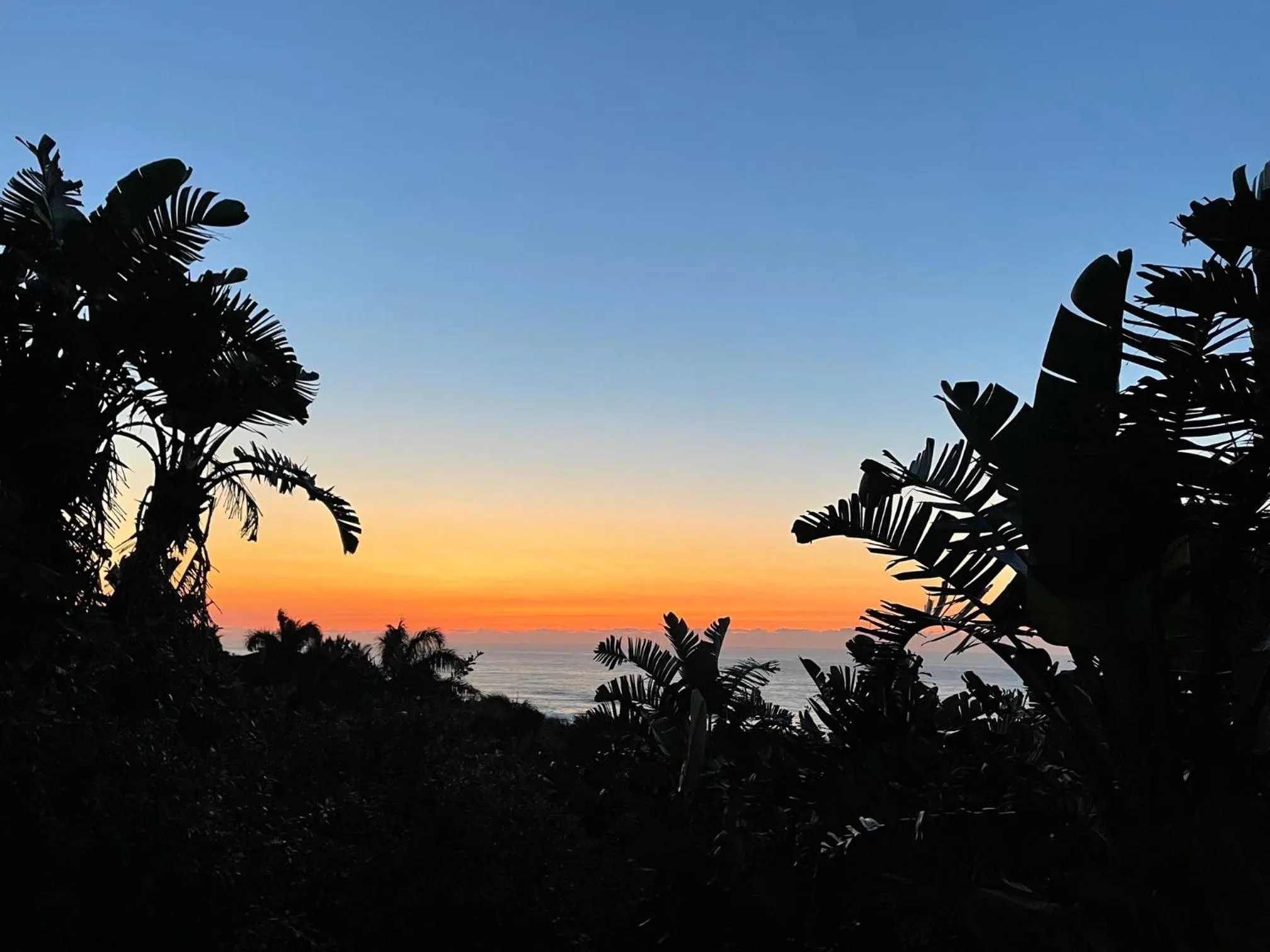 Natural landscape in Albatross Guesthouse
