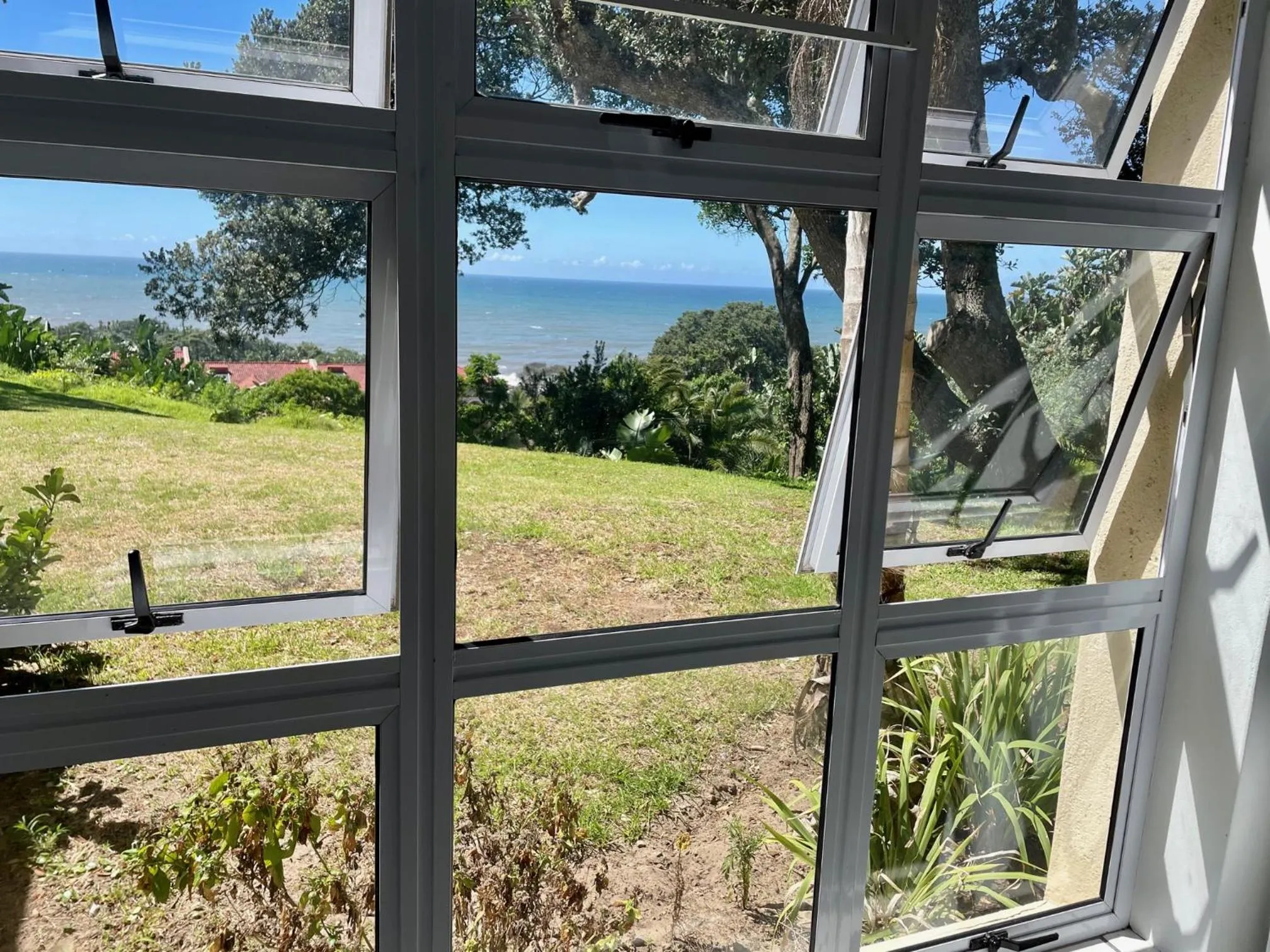 View (from property/room) in Albatross Guesthouse