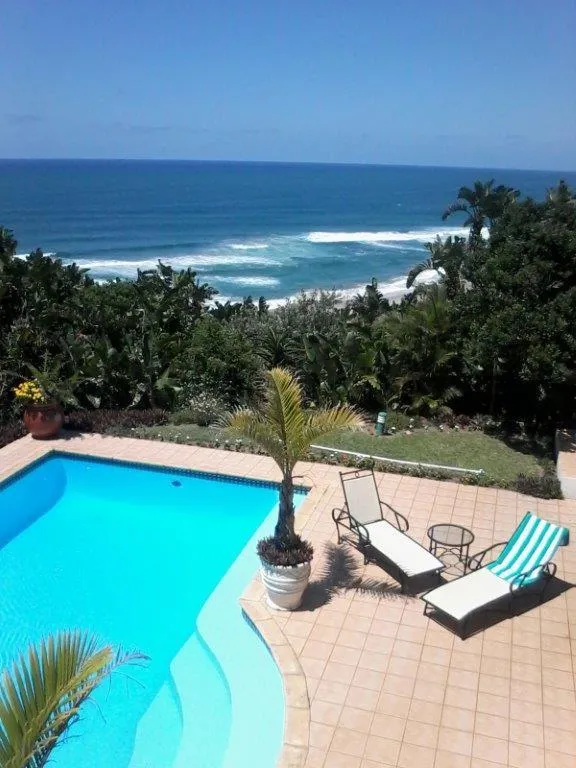 Patio in Albatross Guesthouse