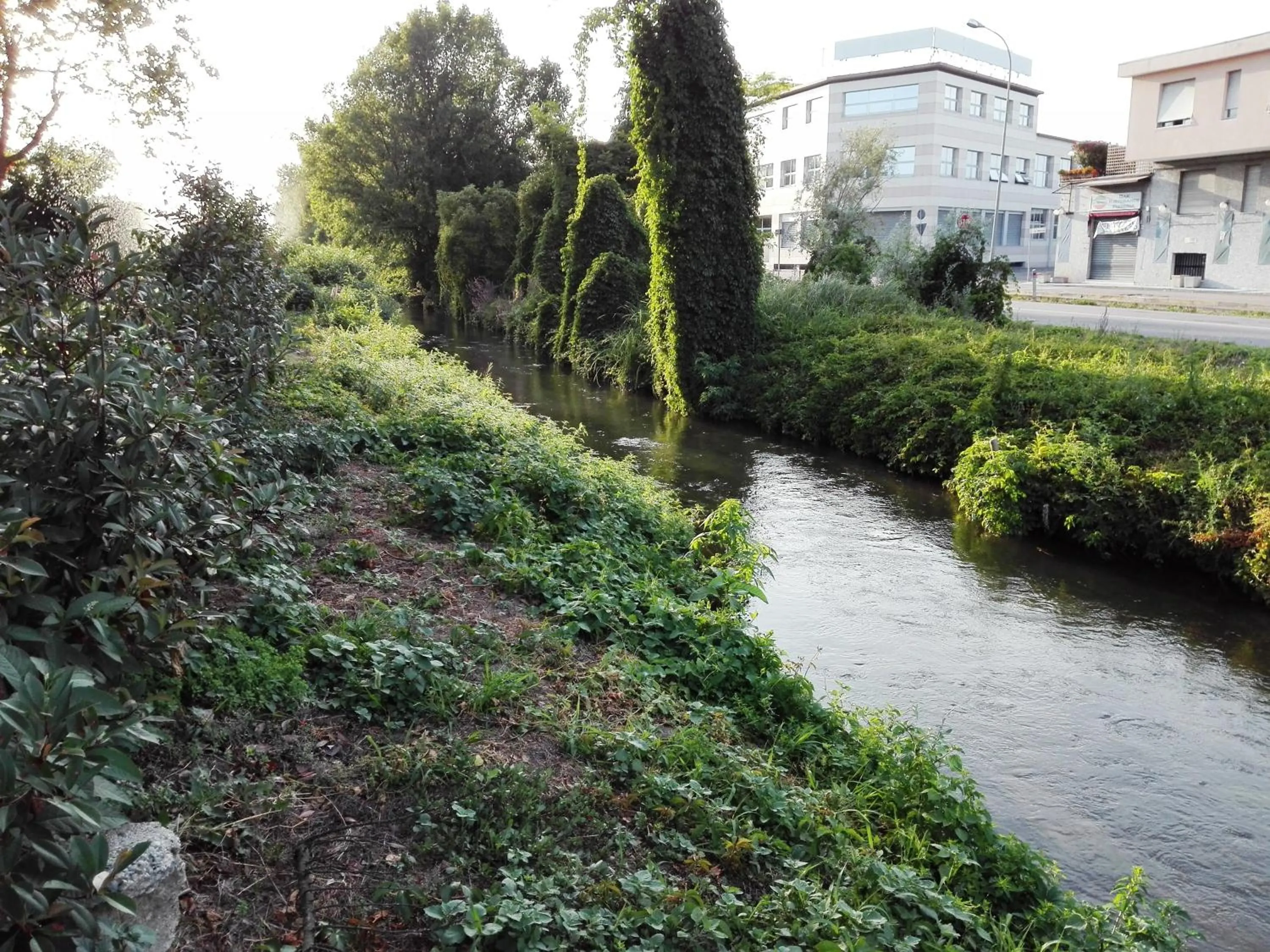 Garden in Hotel Motel Est