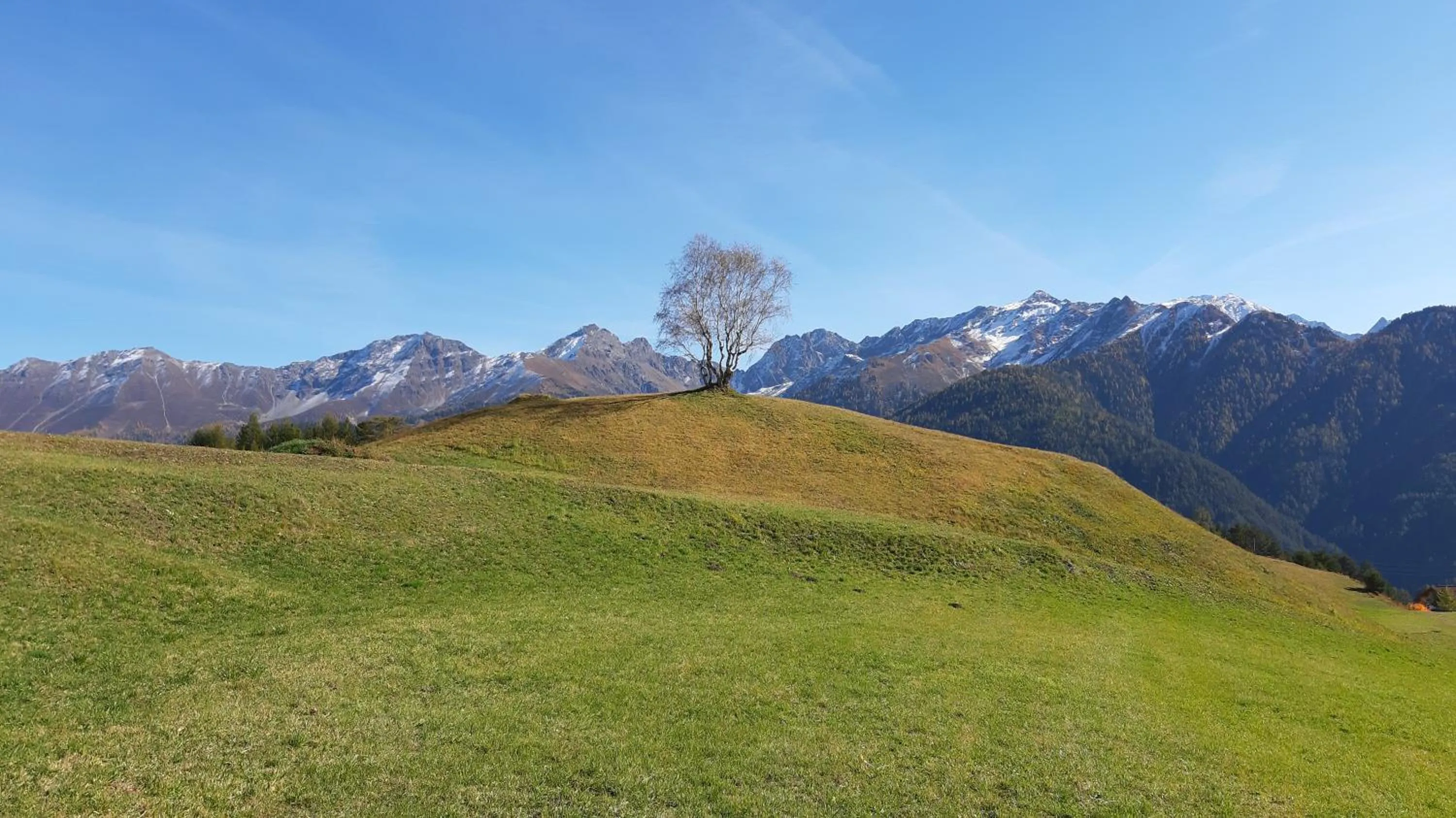Natural landscape in Lärchenhof Serfaus