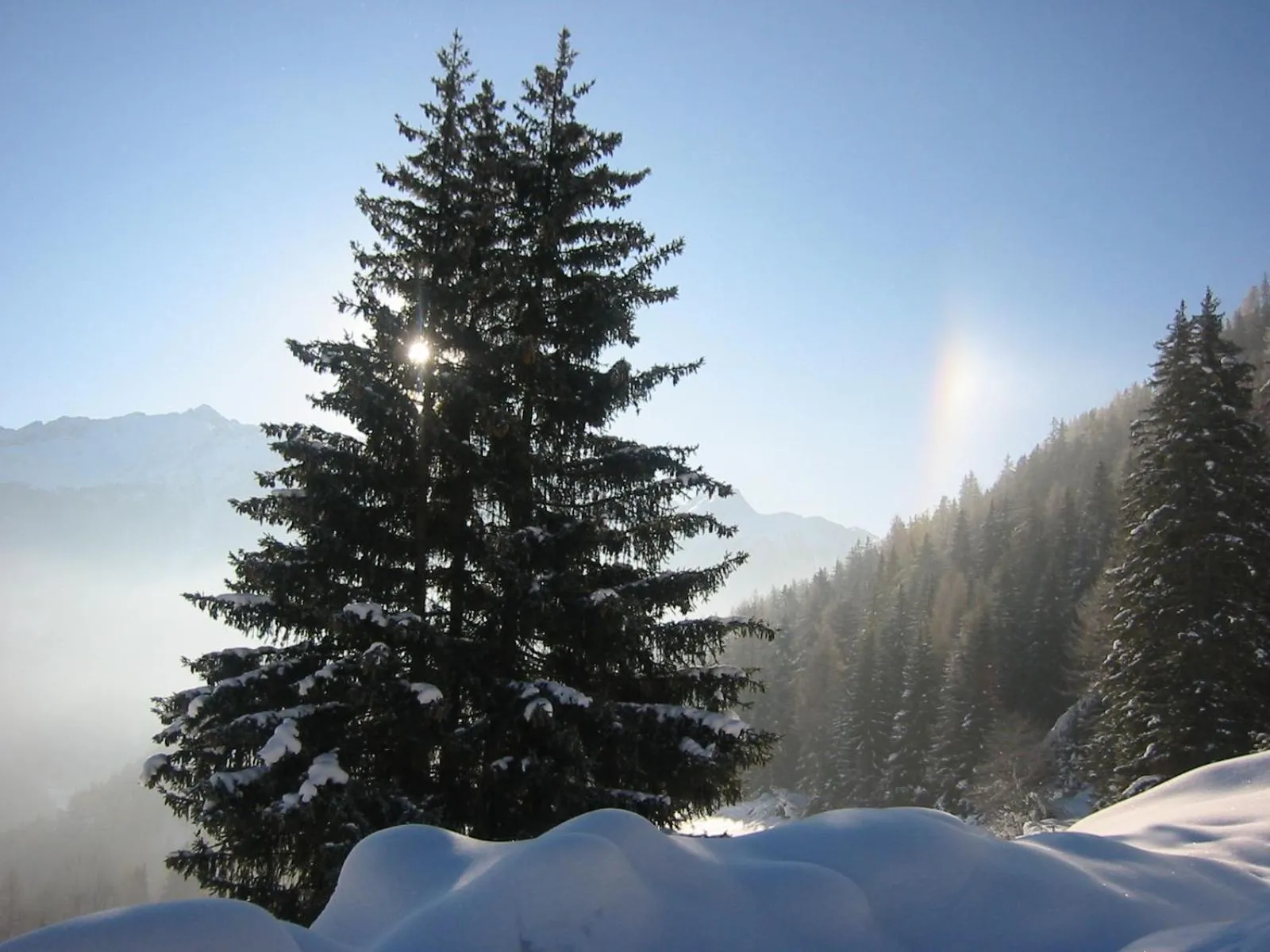 Natural landscape in Lärchenhof Serfaus