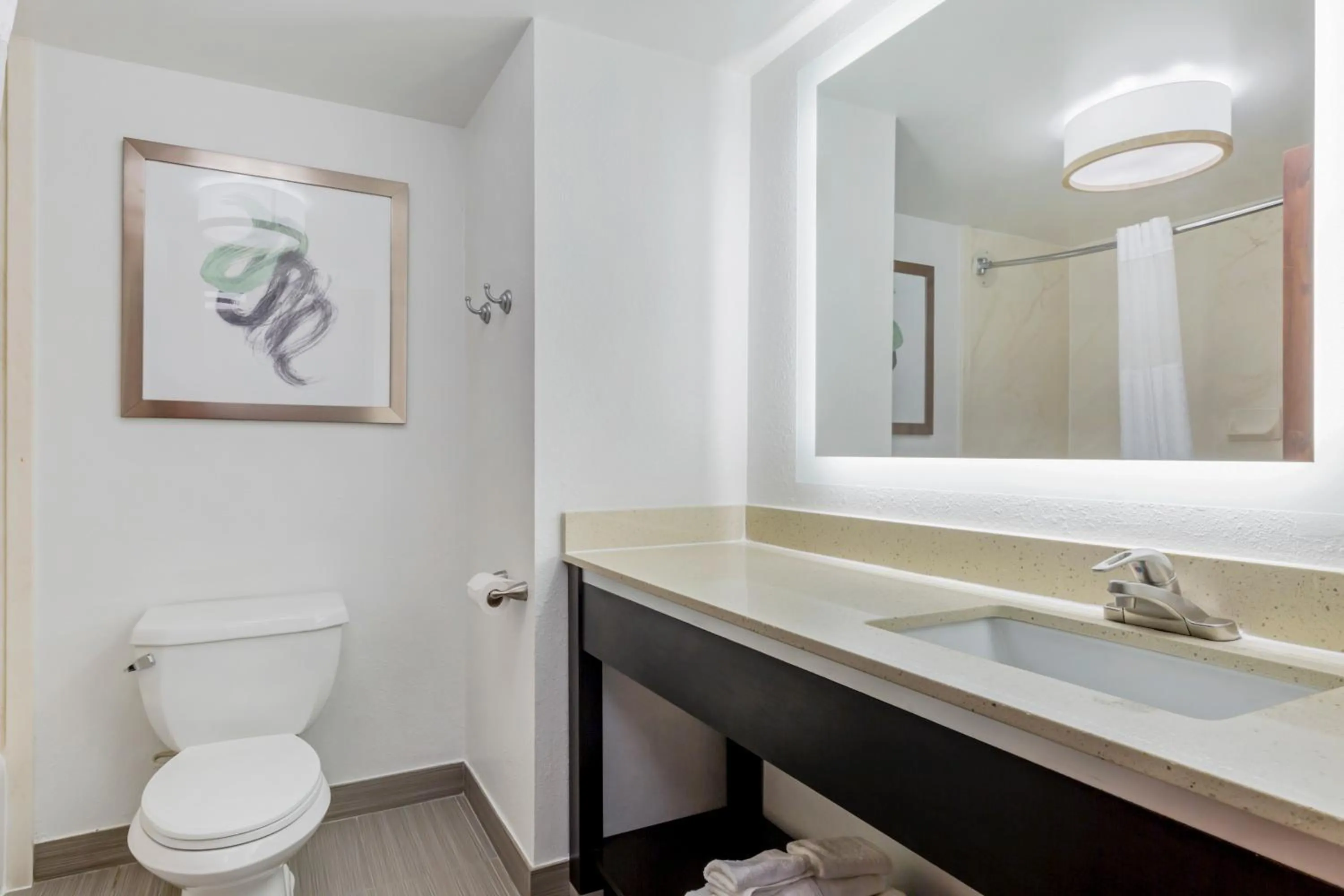 Bathroom in Comfort Inn Laurel - Fort Meade