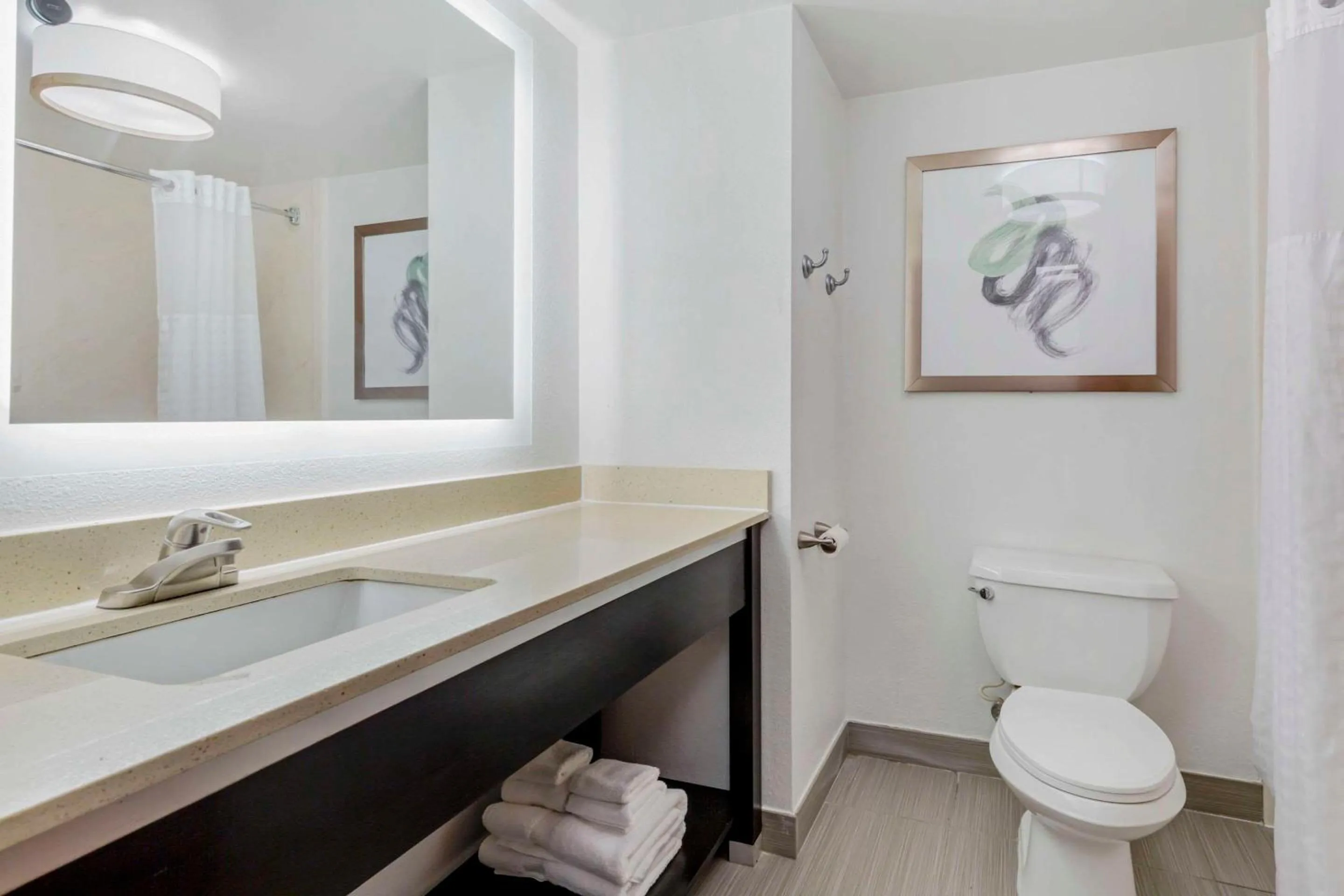 Bathroom in Comfort Inn Laurel - Fort Meade