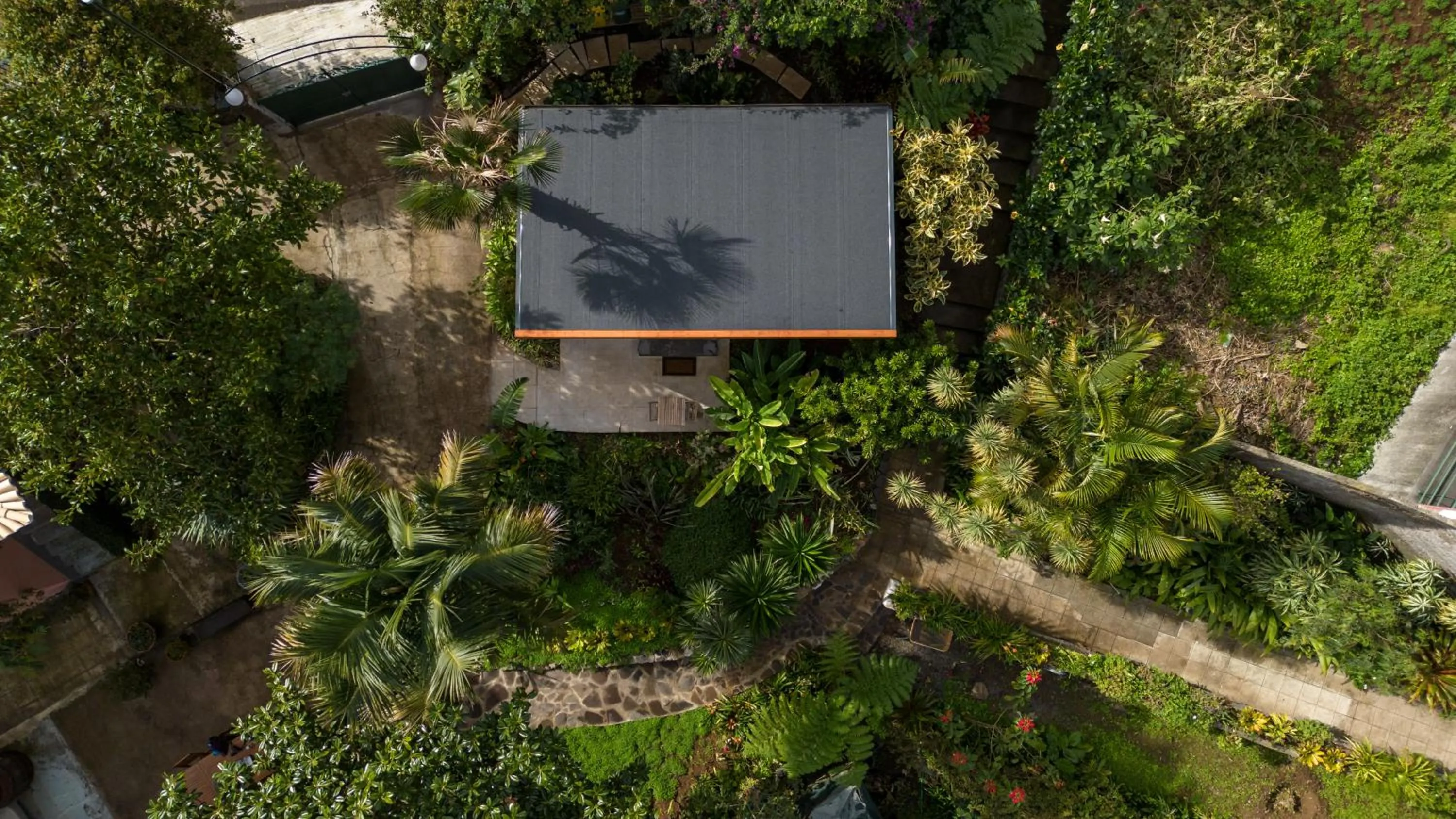 Bird's eye view in Madeira Surf Lodge