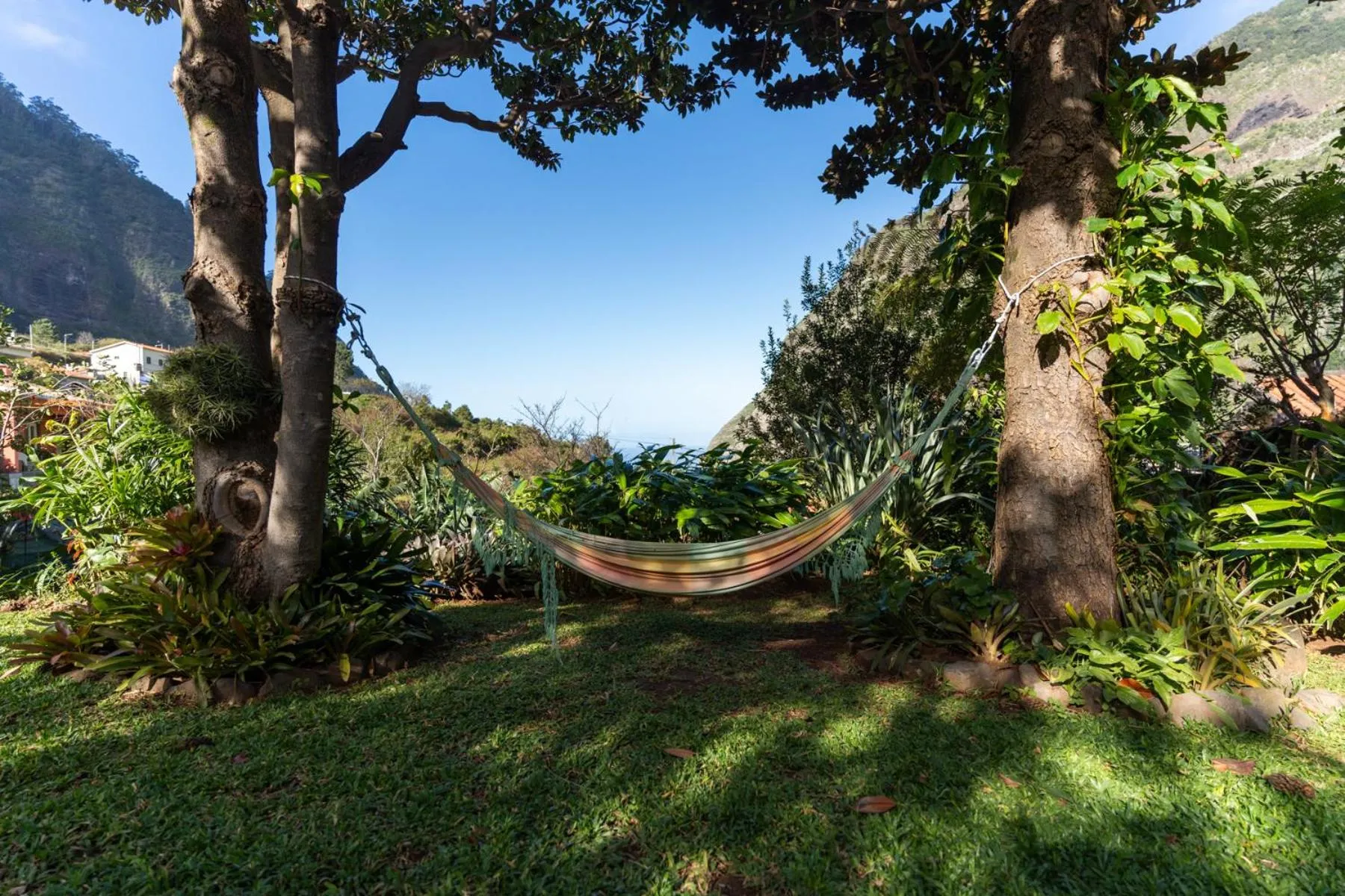 Spring in Madeira Surf Lodge