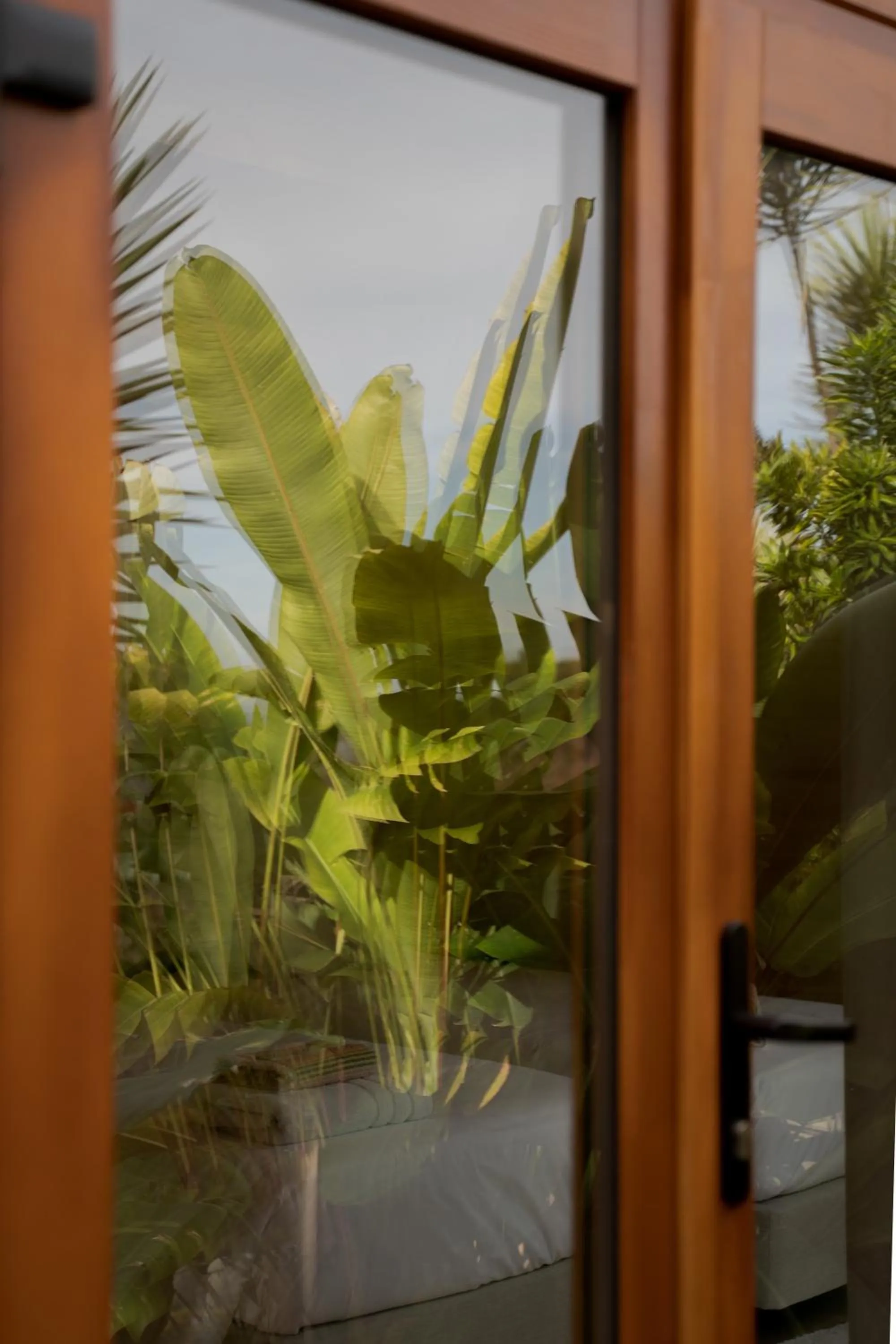 Property building in Madeira Surf Lodge
