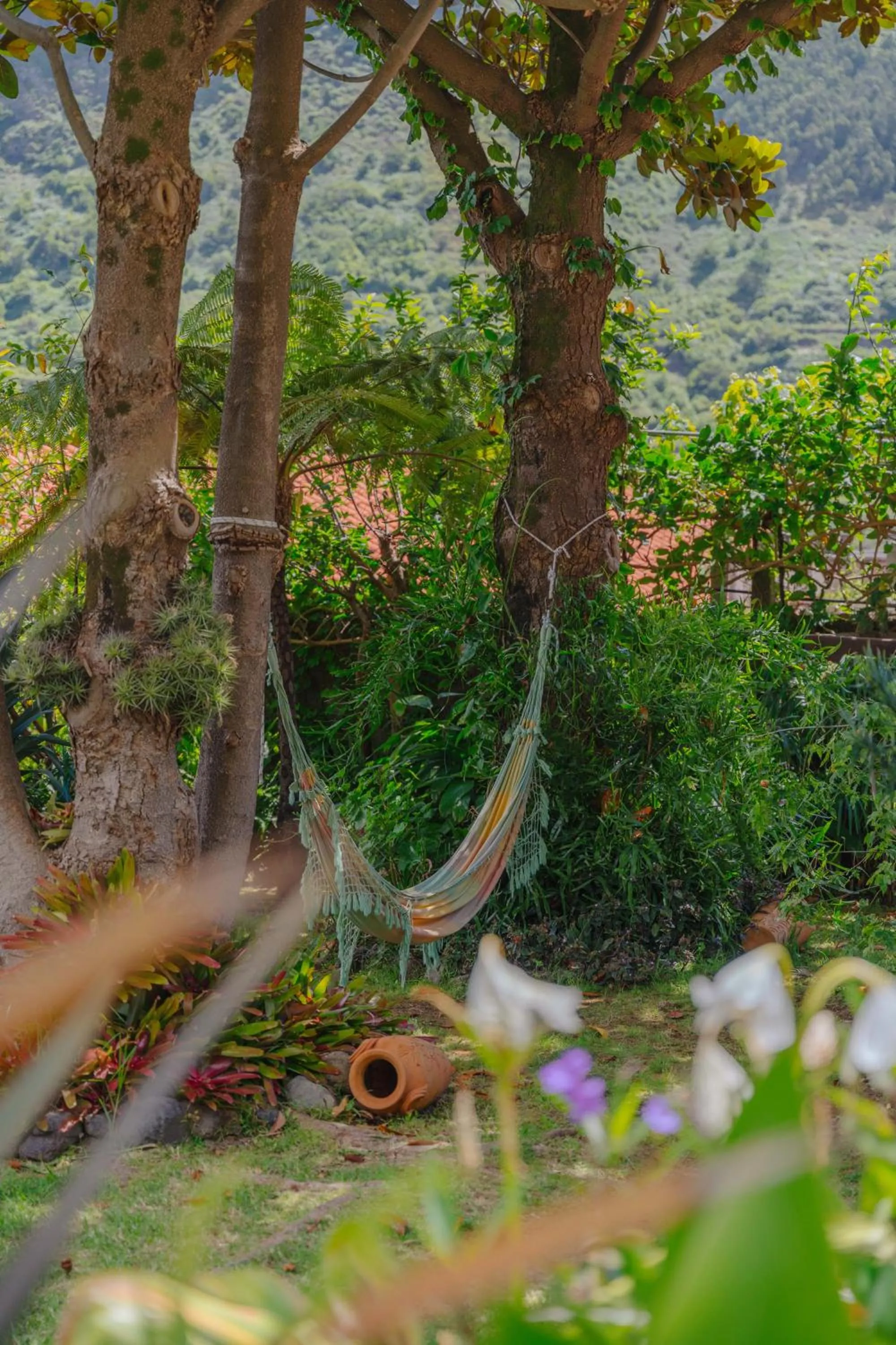 Day in Madeira Surf Lodge