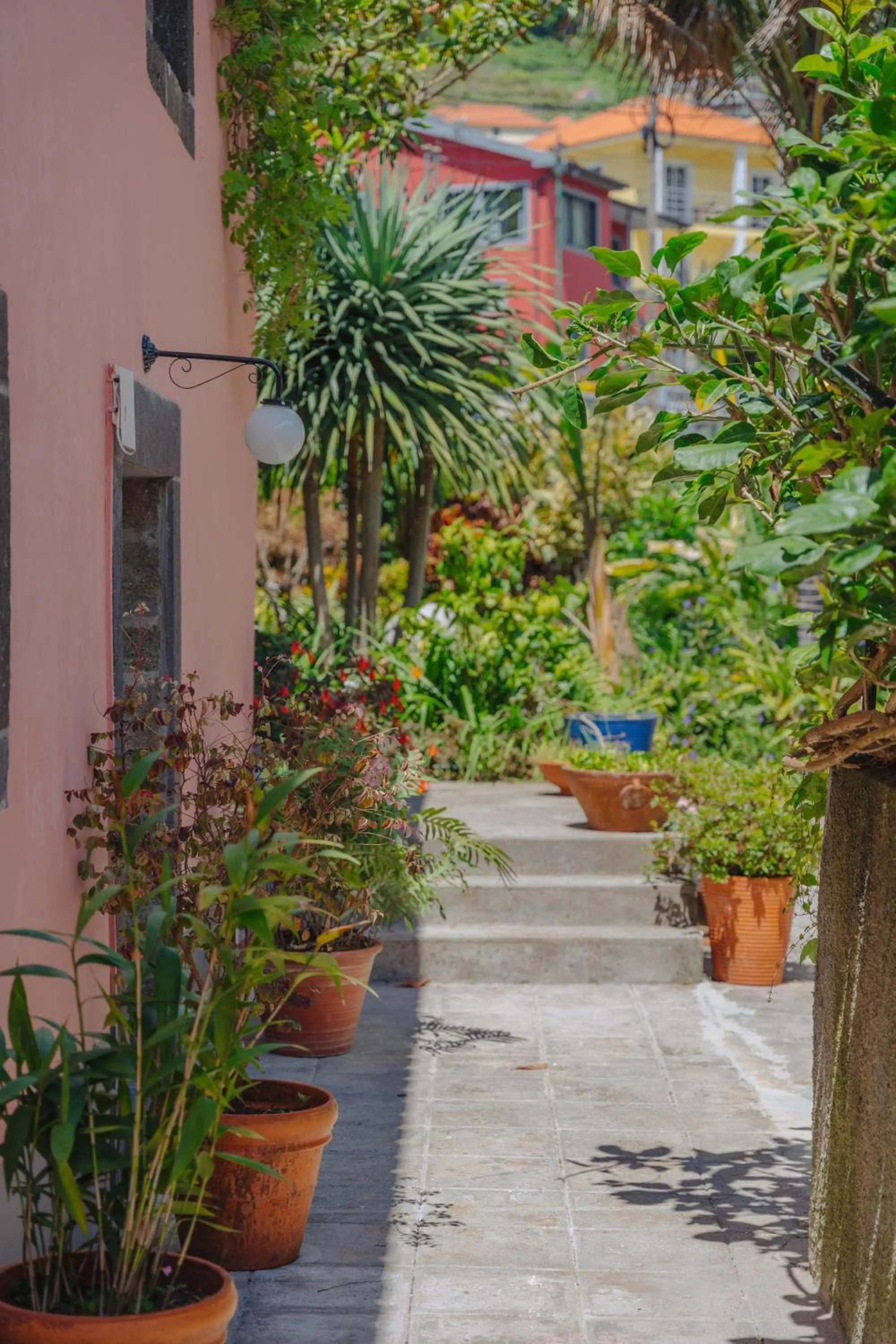 Property building in Madeira Surf Lodge