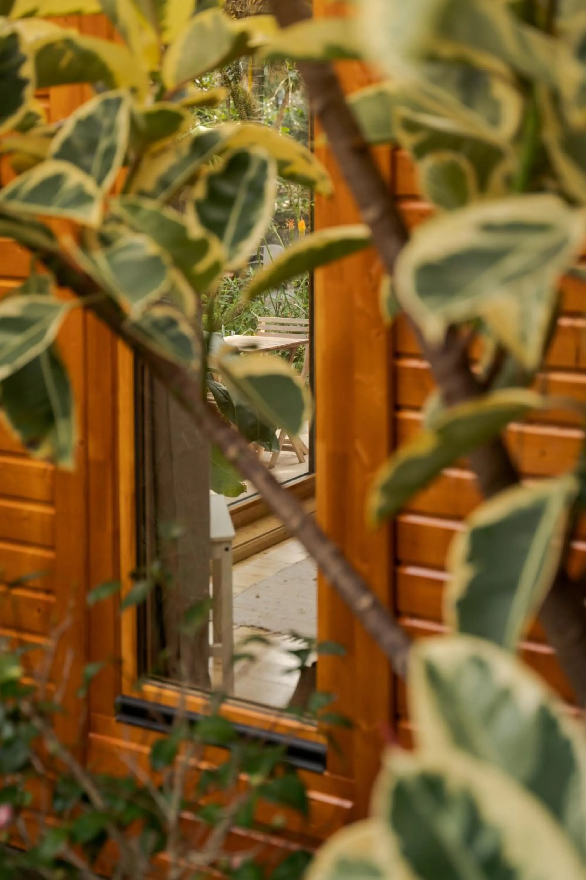 Garden in Madeira Surf Lodge