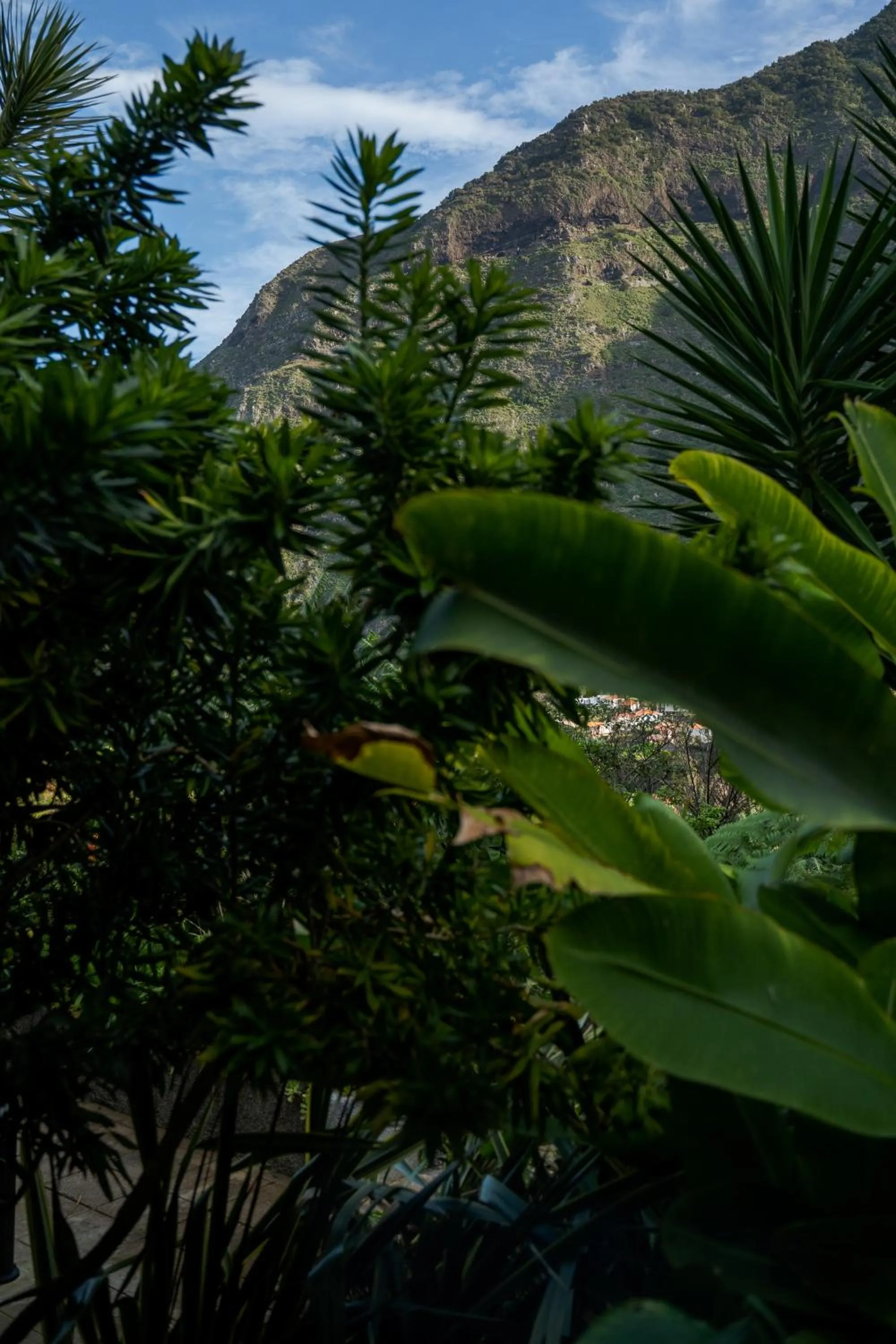 Day in Madeira Surf Lodge