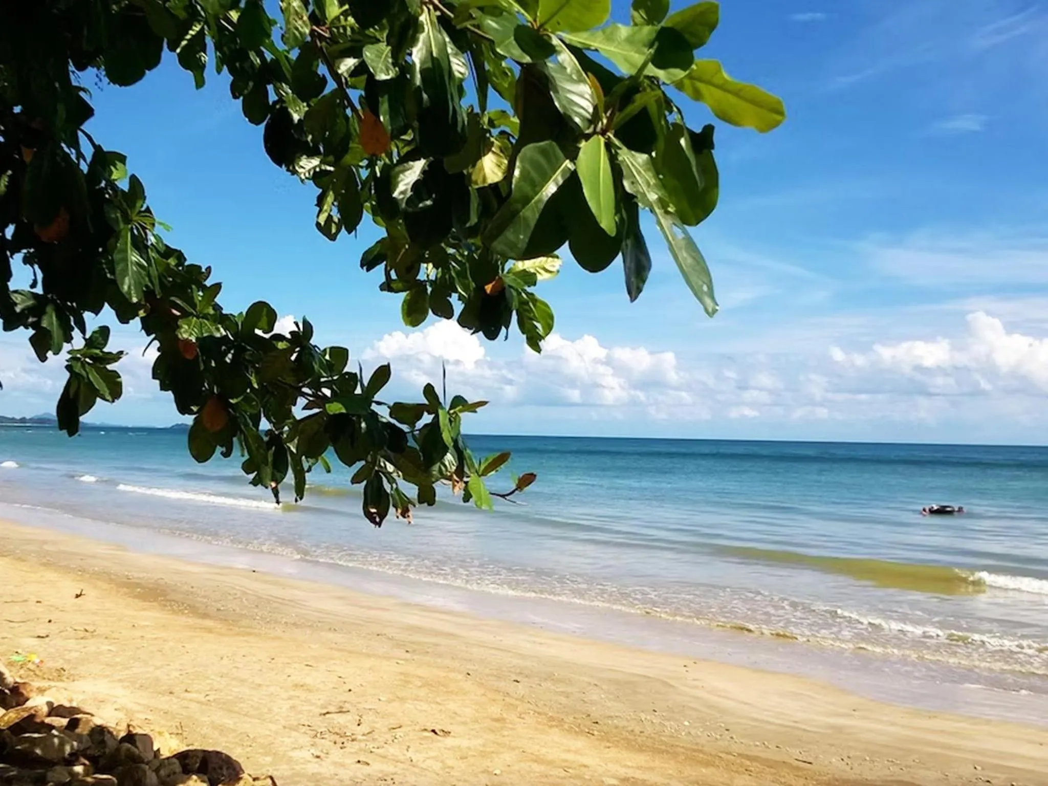 Natural landscape in Bonhomie Beach Cottage