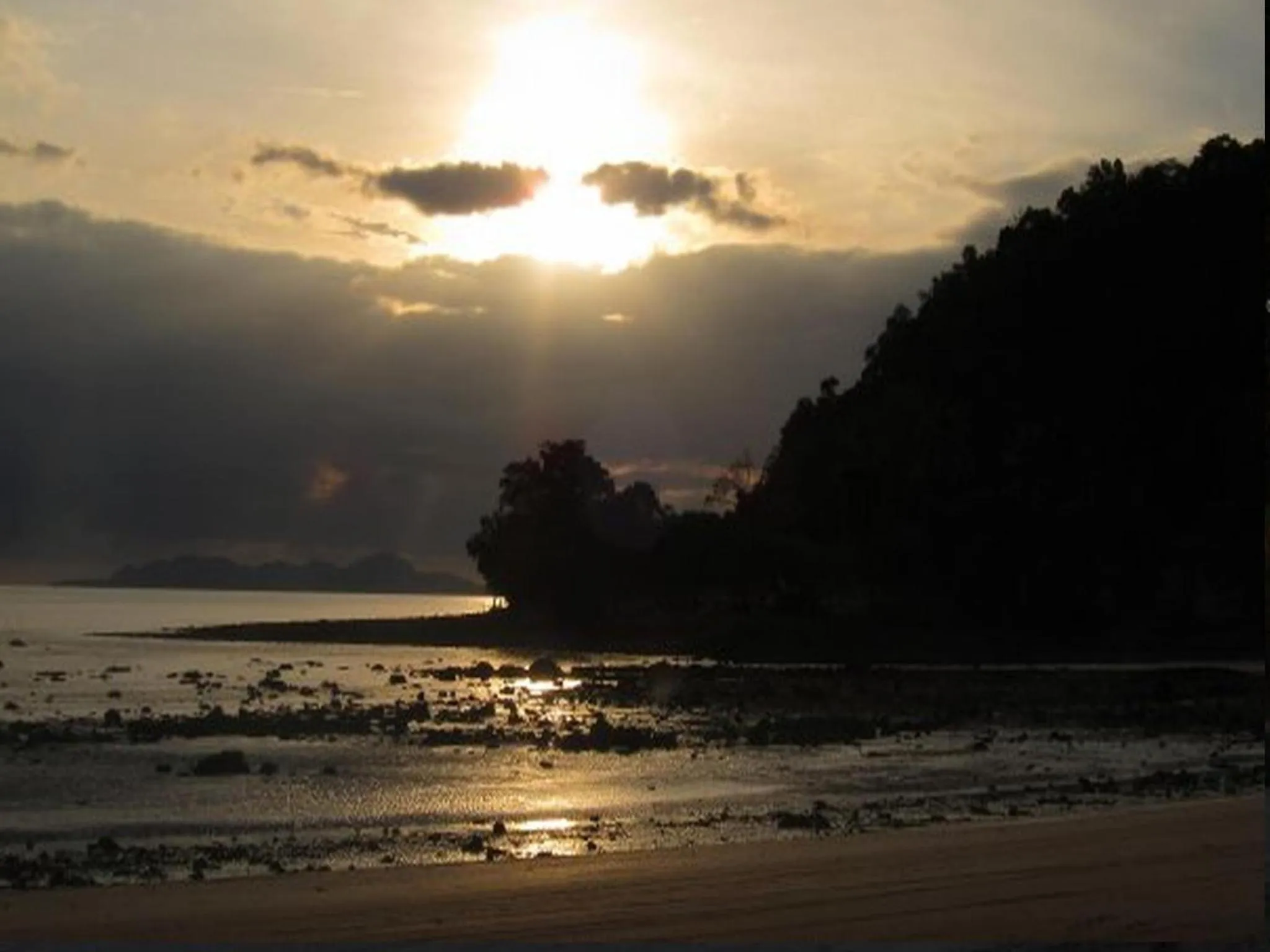 Natural landscape in Bonhomie Beach Cottage